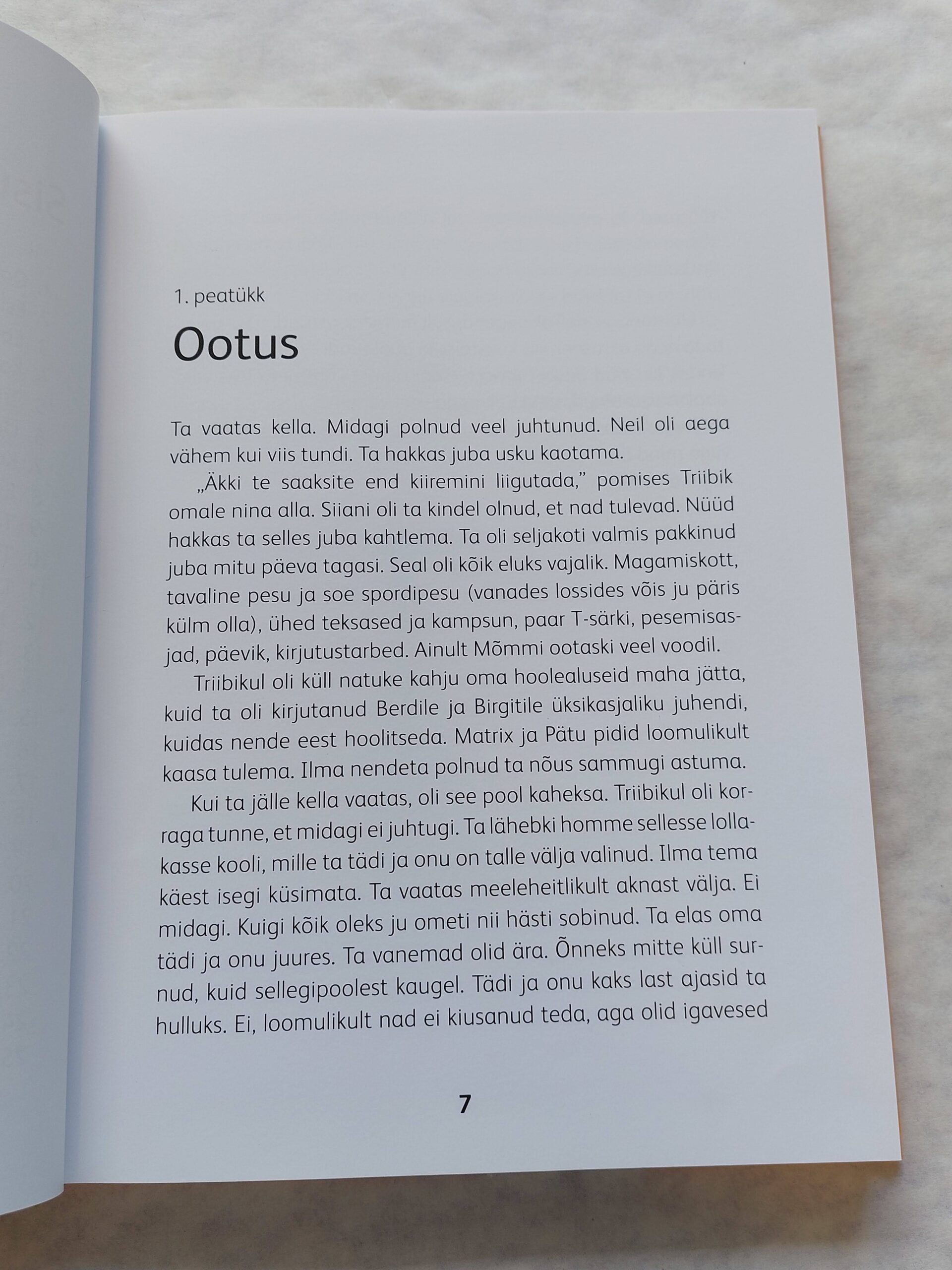 Detektiiv Triibik loomaaias. Reeli Reinaus. 2013 - Image 4