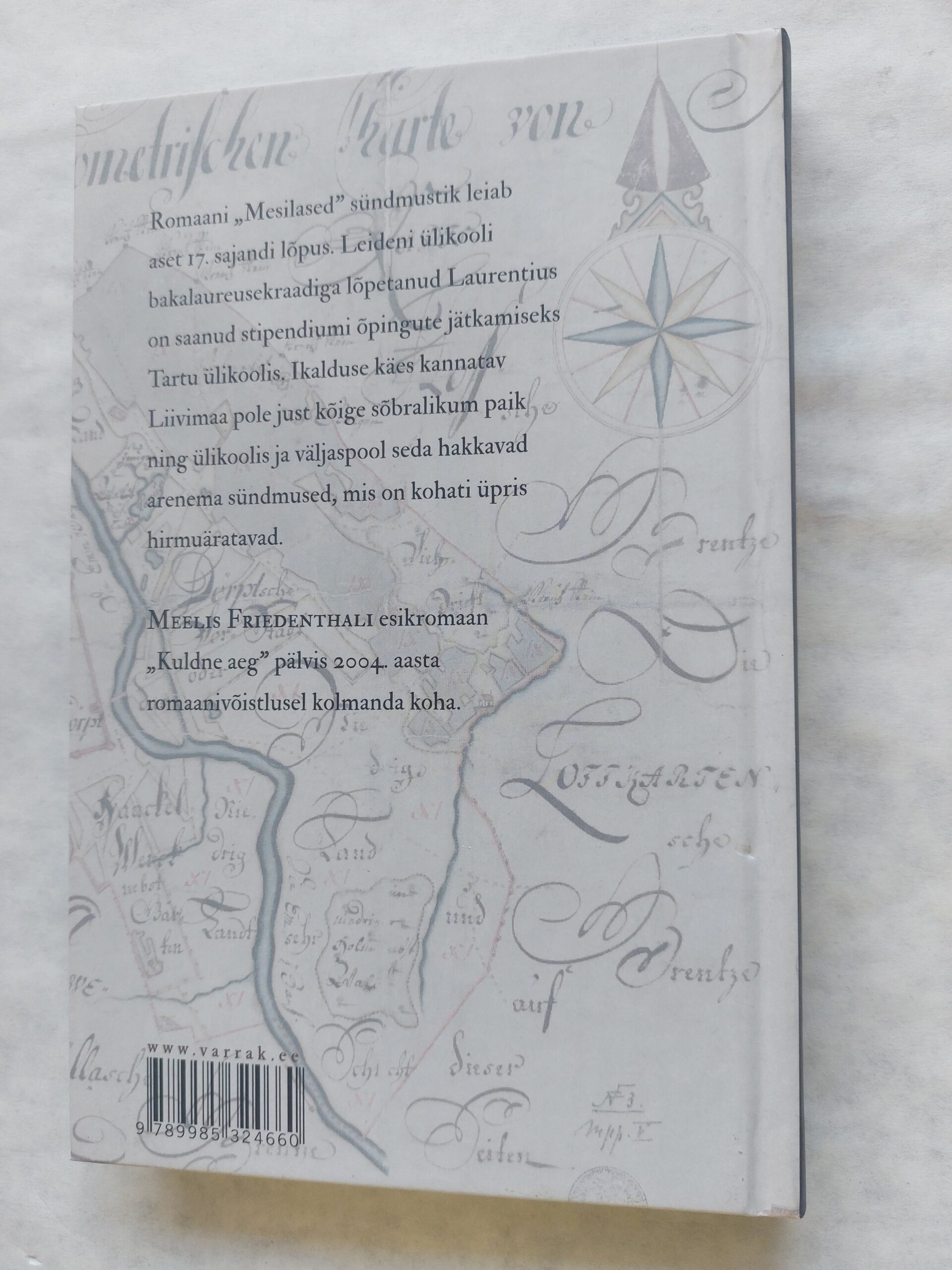 Mesilased. Meelis Friedenthal. 2012 - Image 4