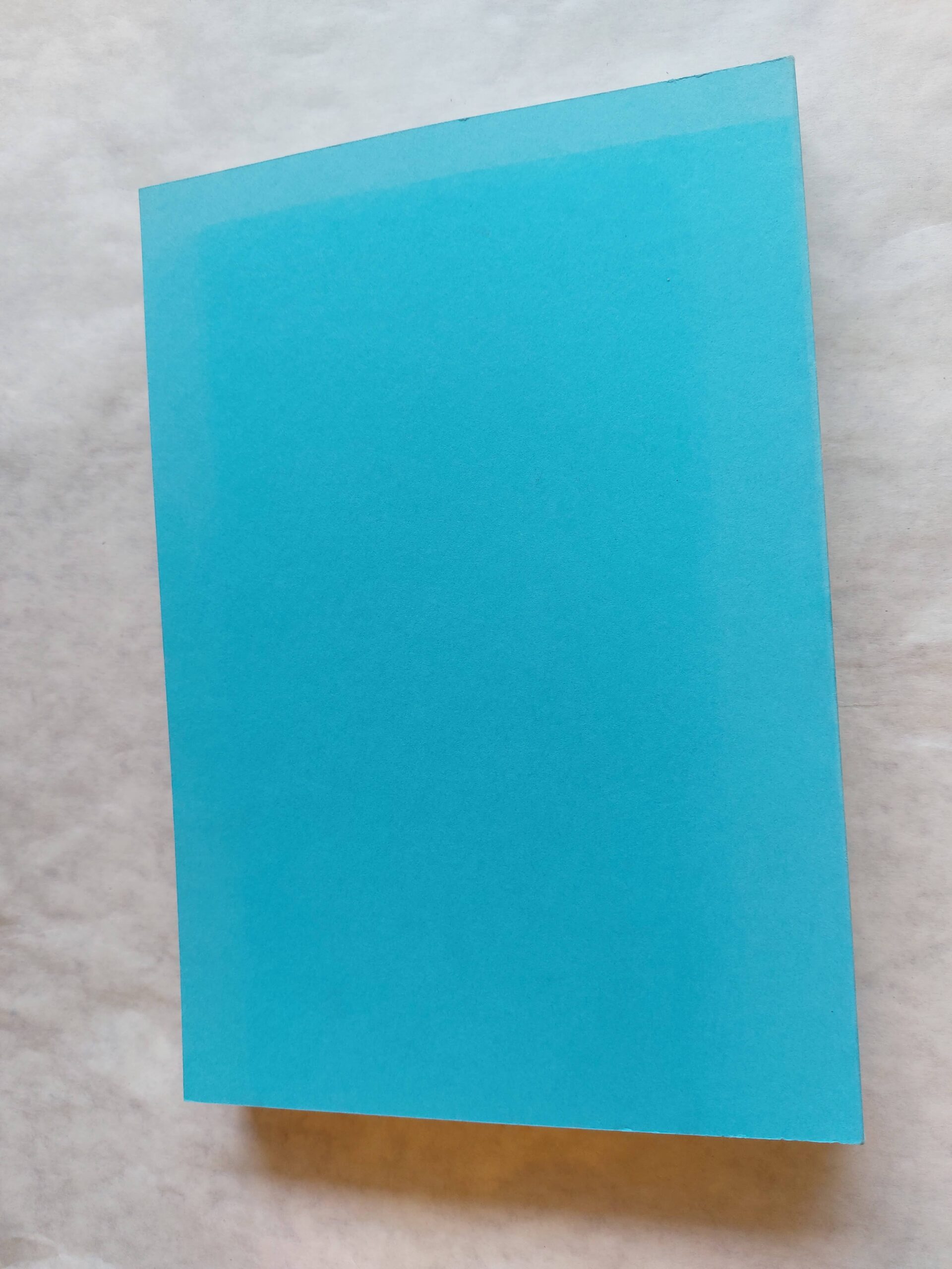 Muinasaja teadus 3. Eesti arheoloogia historiograafilise, teoreetilise ja kultuuriajaloolisi aspekte. 1995 - Image 5