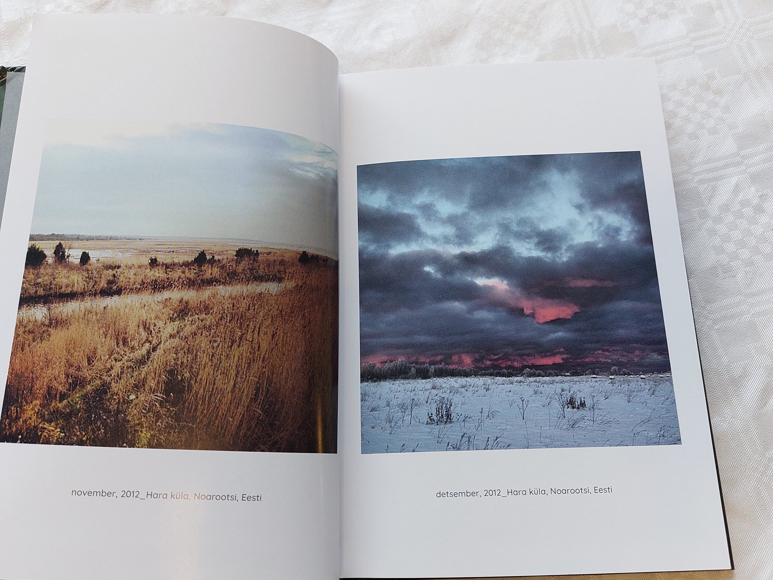 Vaba langemine. Urmas Purde. 2021 - Image 2