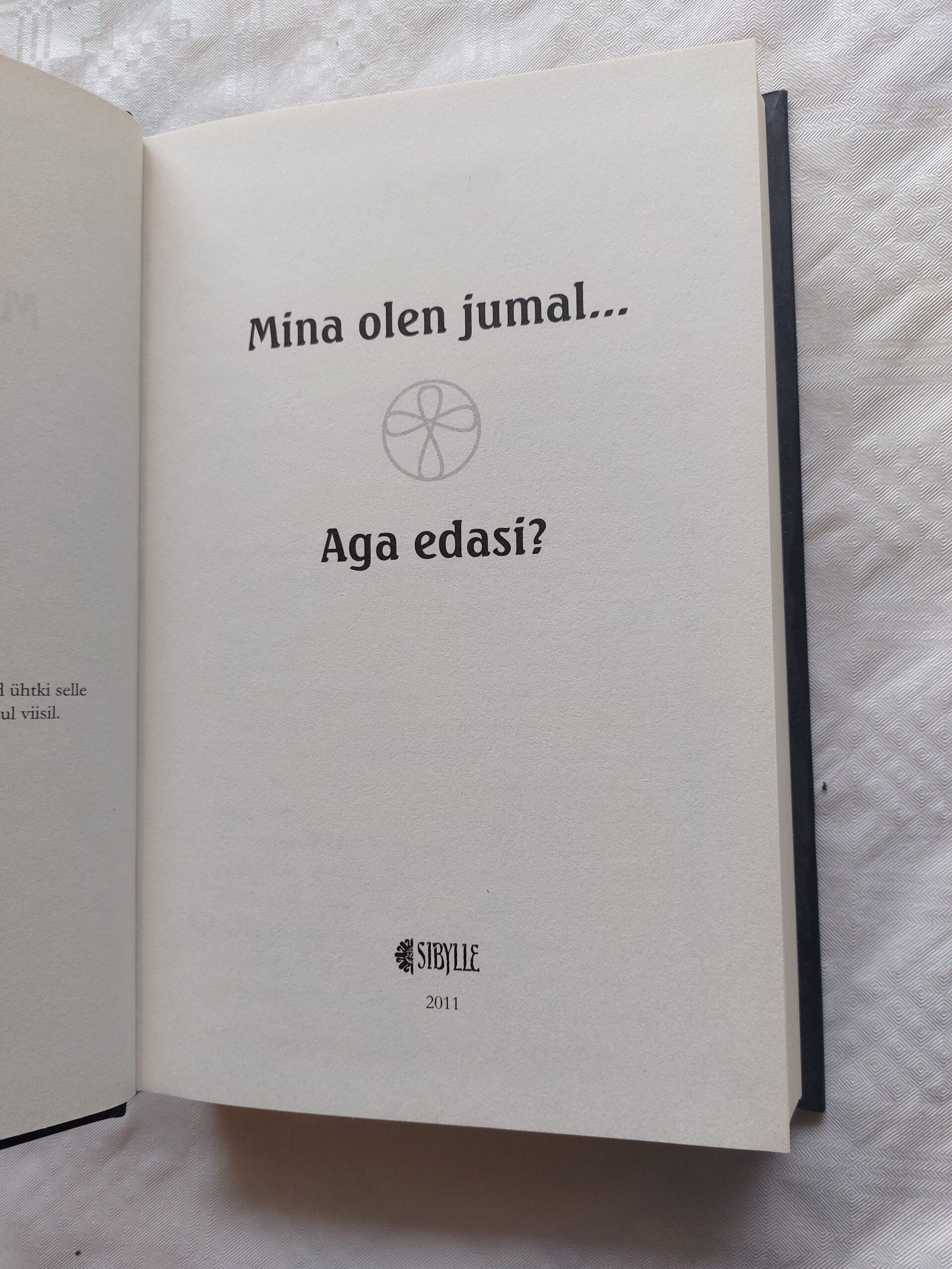 Mina olen jumal... Aga edasi? Steve Rother ja Grupp. 2011 - Image 2