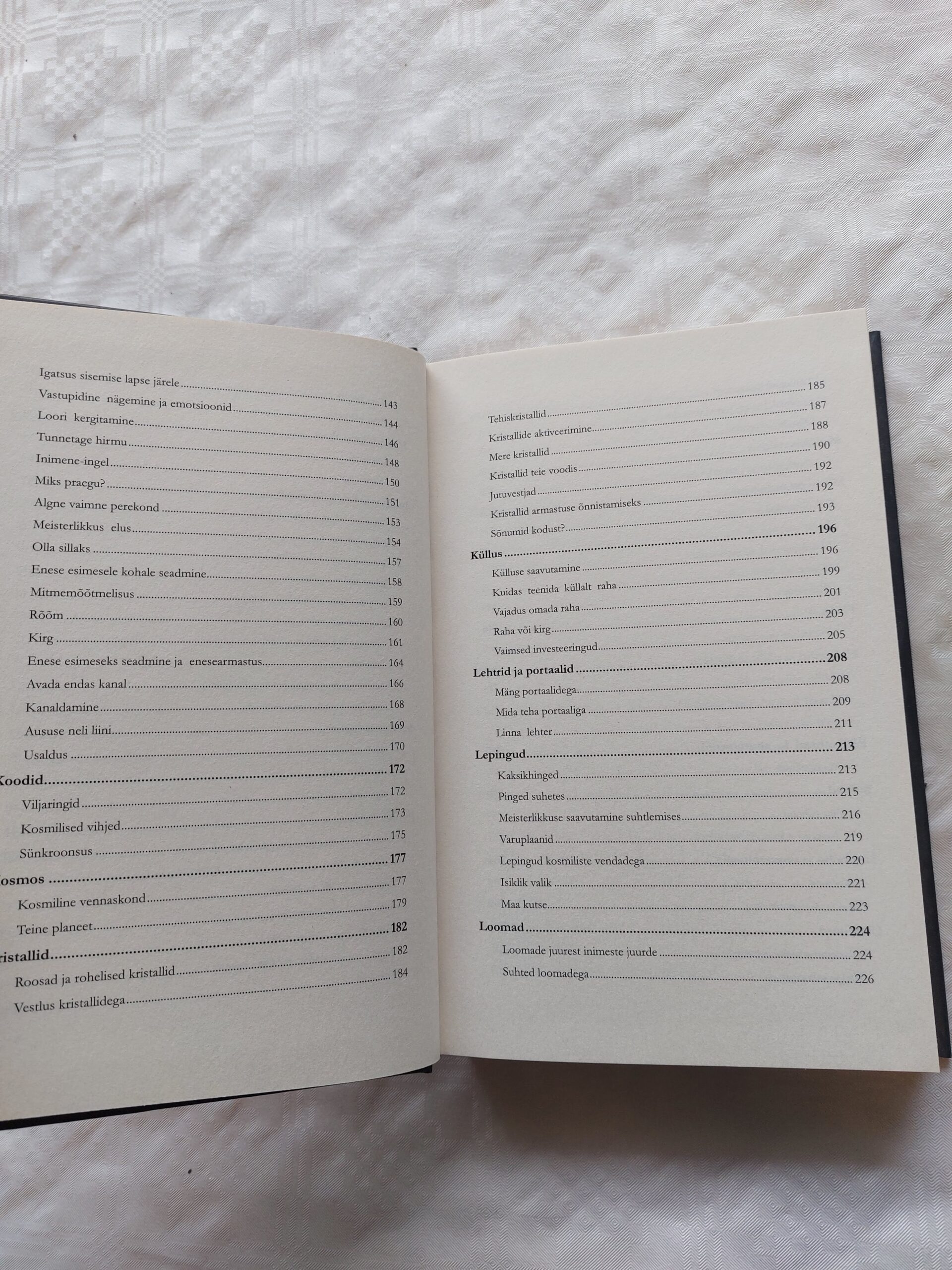 Mina olen jumal... Aga edasi? Steve Rother ja Grupp. 2011 - Image 5