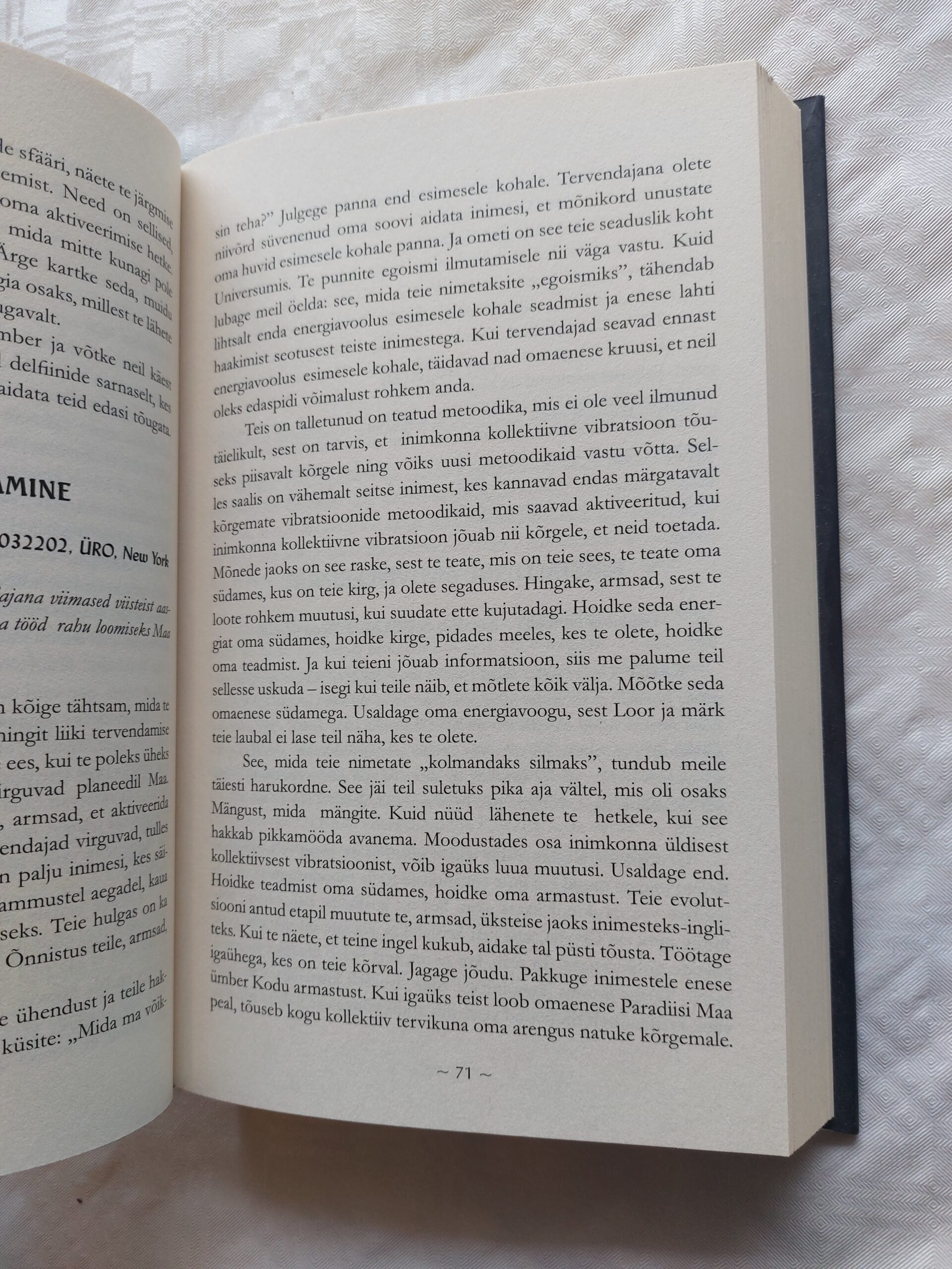 Mina olen jumal... Aga edasi? Steve Rother ja Grupp. 2011 - Image 8