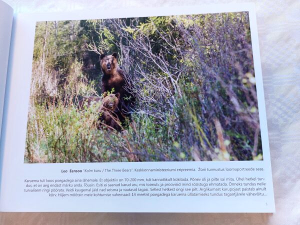 Loodusfoto aastaraamat 2017. Estonian nature photo yearbook. - Image 4