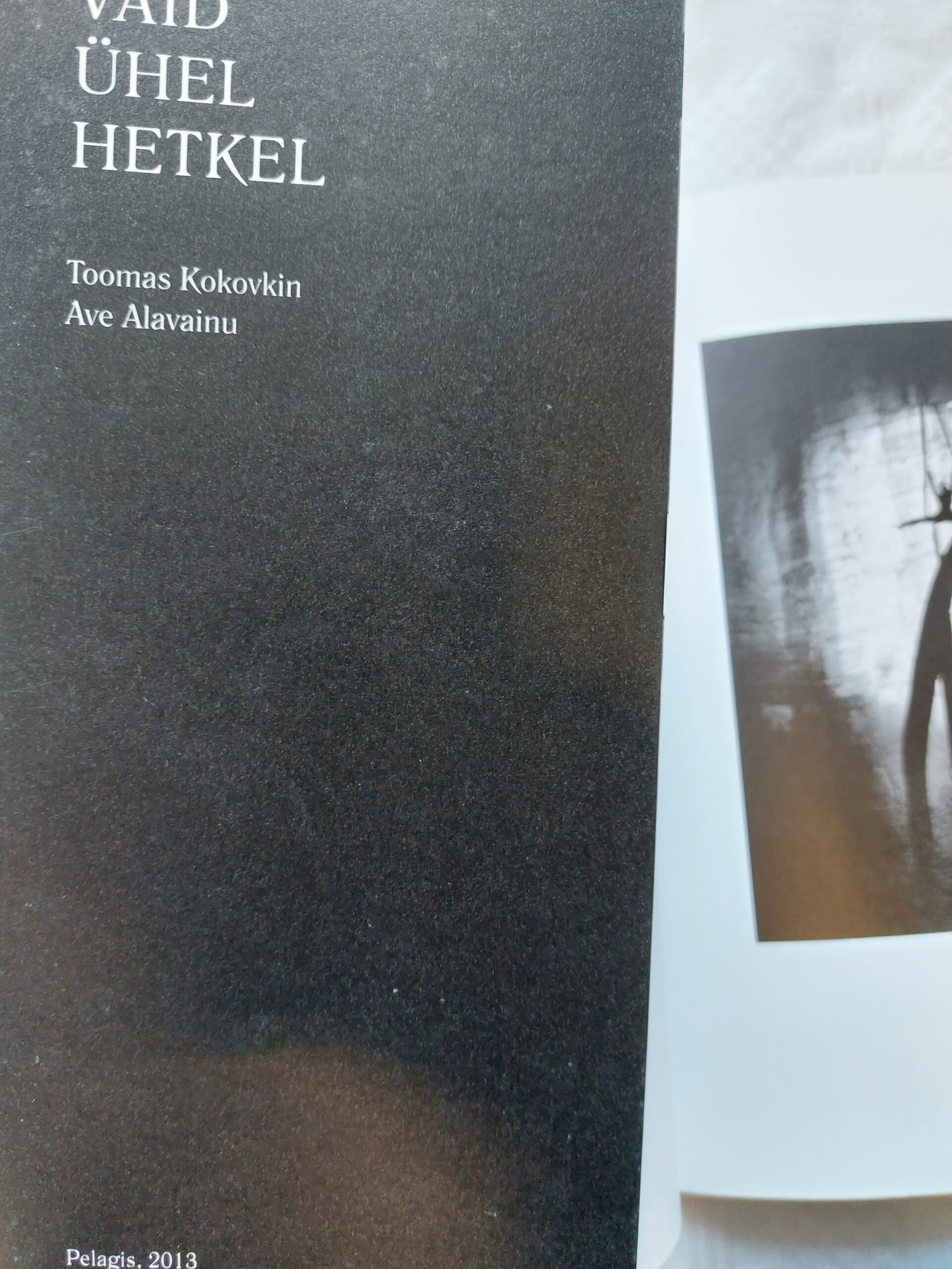 Vaid ühel hetkel. Toomas Kokovkin; Ave Alavainu. 2013 - Image 2