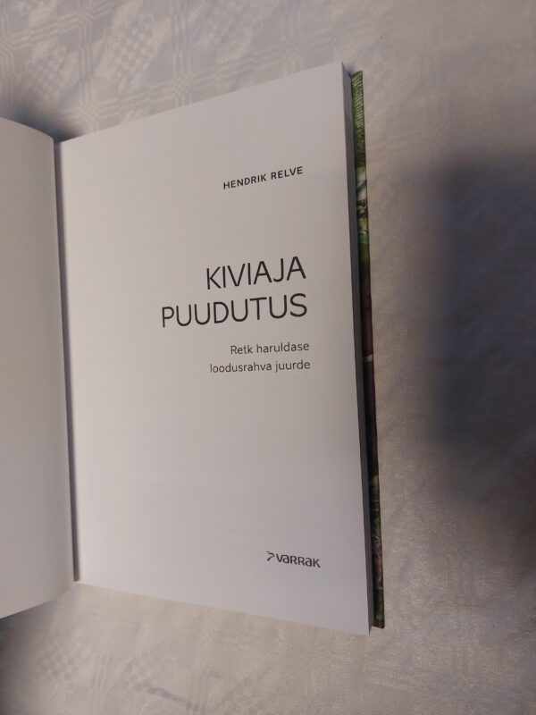 Kiviaja puudutus. Hendrik Relve. 2017 - Image 2