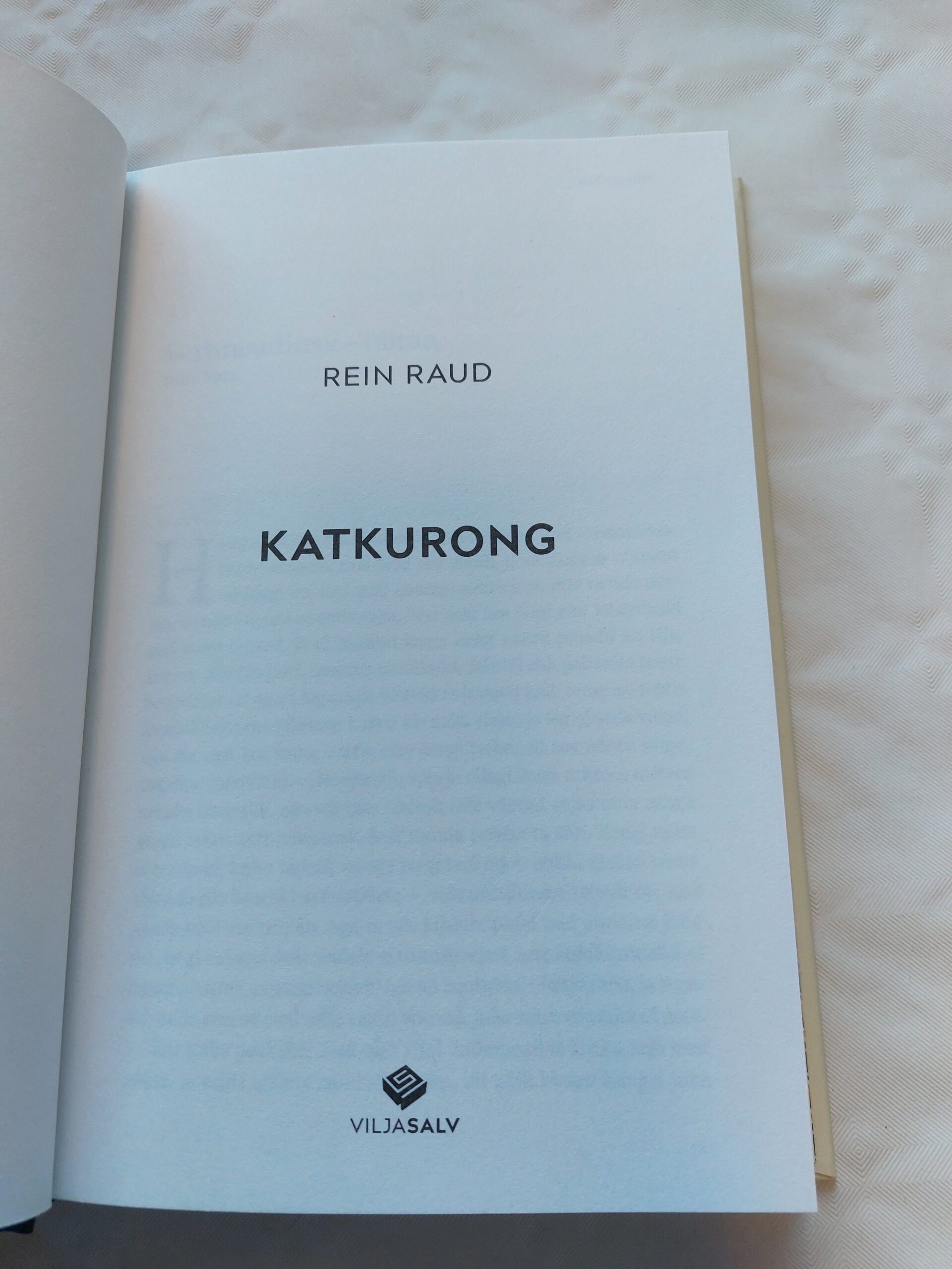 Katkurong. Rein Raud. 2023 - Image 2