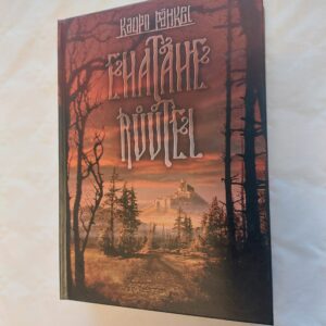 Ehatähe rüütel. Kaupo Pähkel. 2008