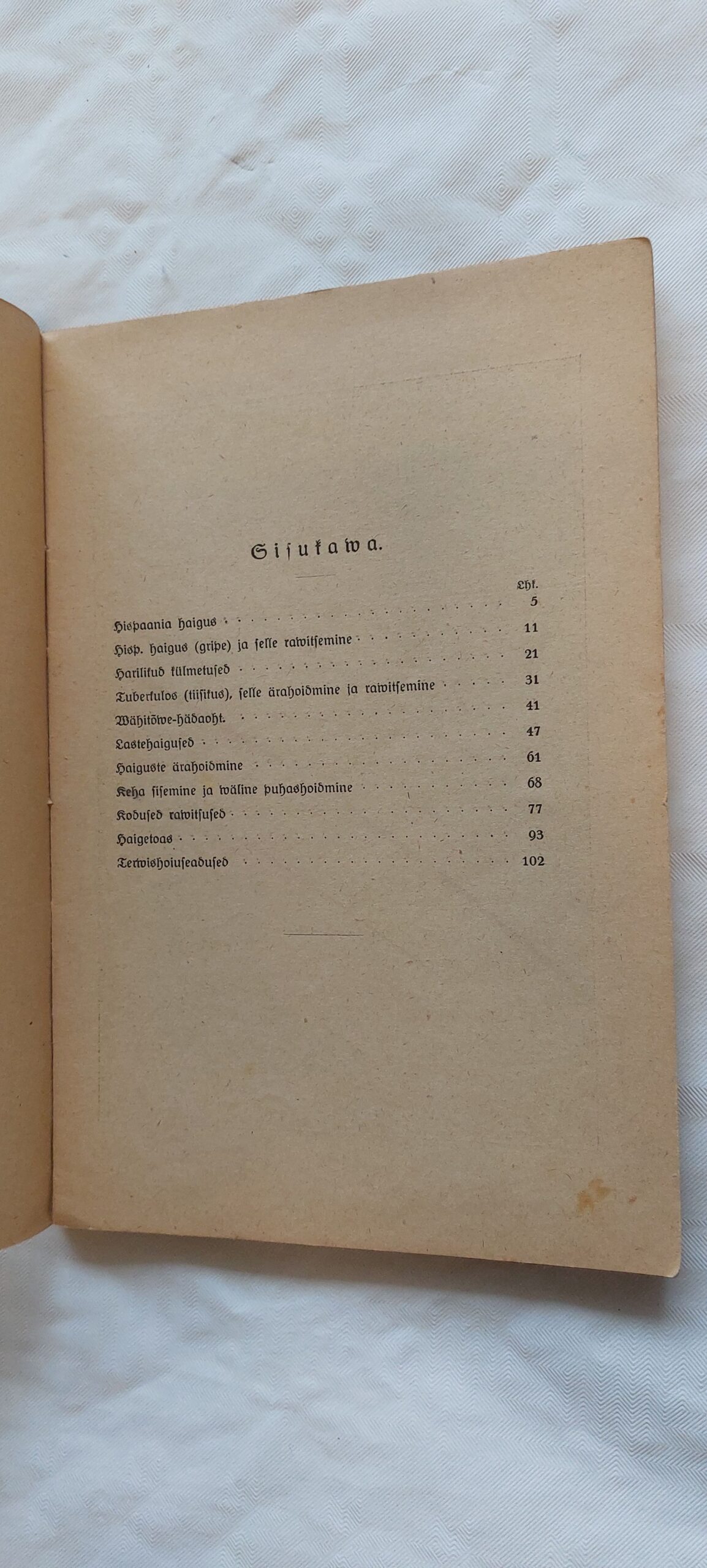 Rahwahaigused. Nende eest hoidmine ja kodune rawitsemine. Lihtsalt ja kergesti arusaadawalt esitatuna. 1914 - Image 3