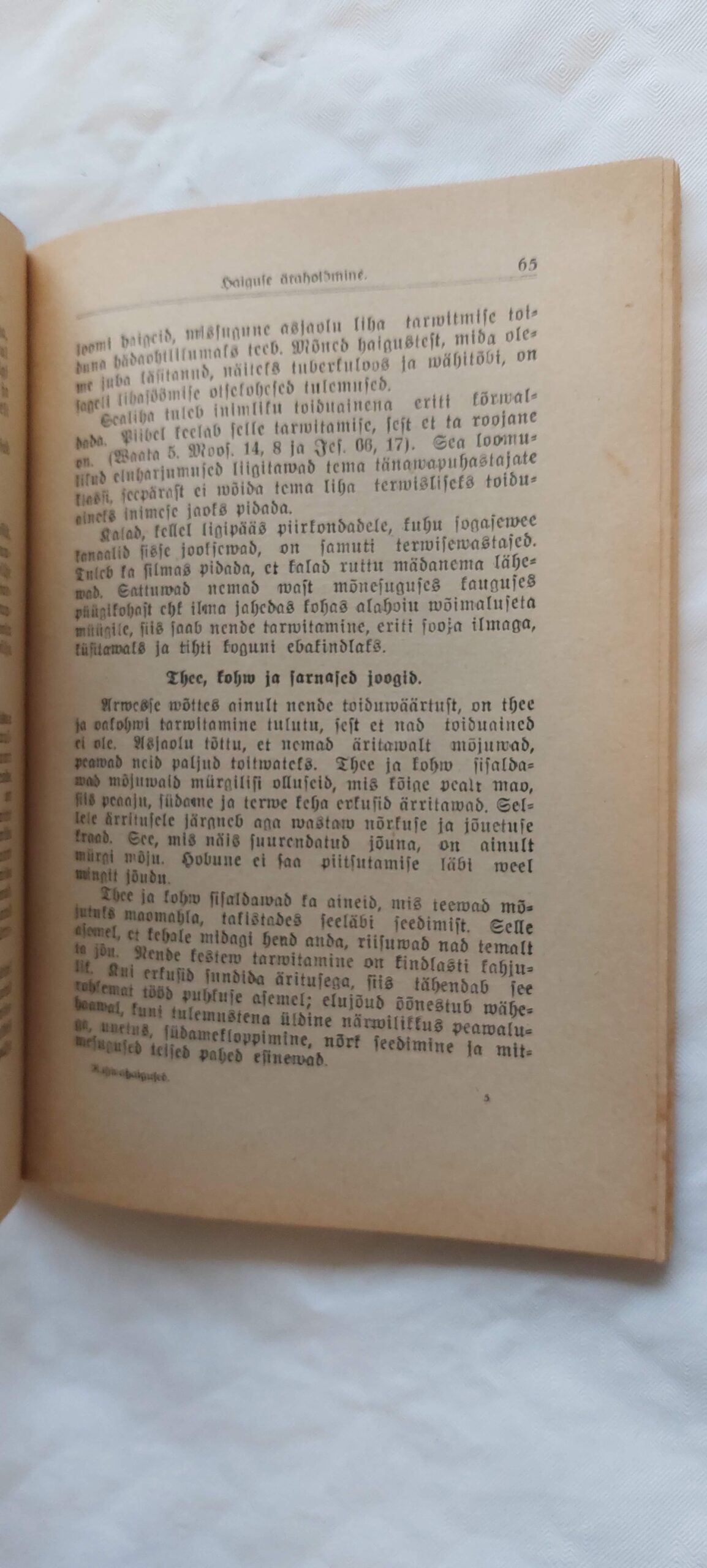 Rahwahaigused. Nende eest hoidmine ja kodune rawitsemine. Lihtsalt ja kergesti arusaadawalt esitatuna. 1914 - Image 4