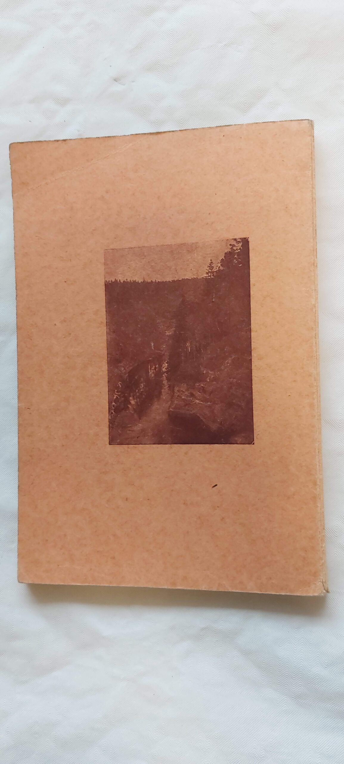 Rahwahaigused. Nende eest hoidmine ja kodune rawitsemine. Lihtsalt ja kergesti arusaadawalt esitatuna. 1914 - Image 5