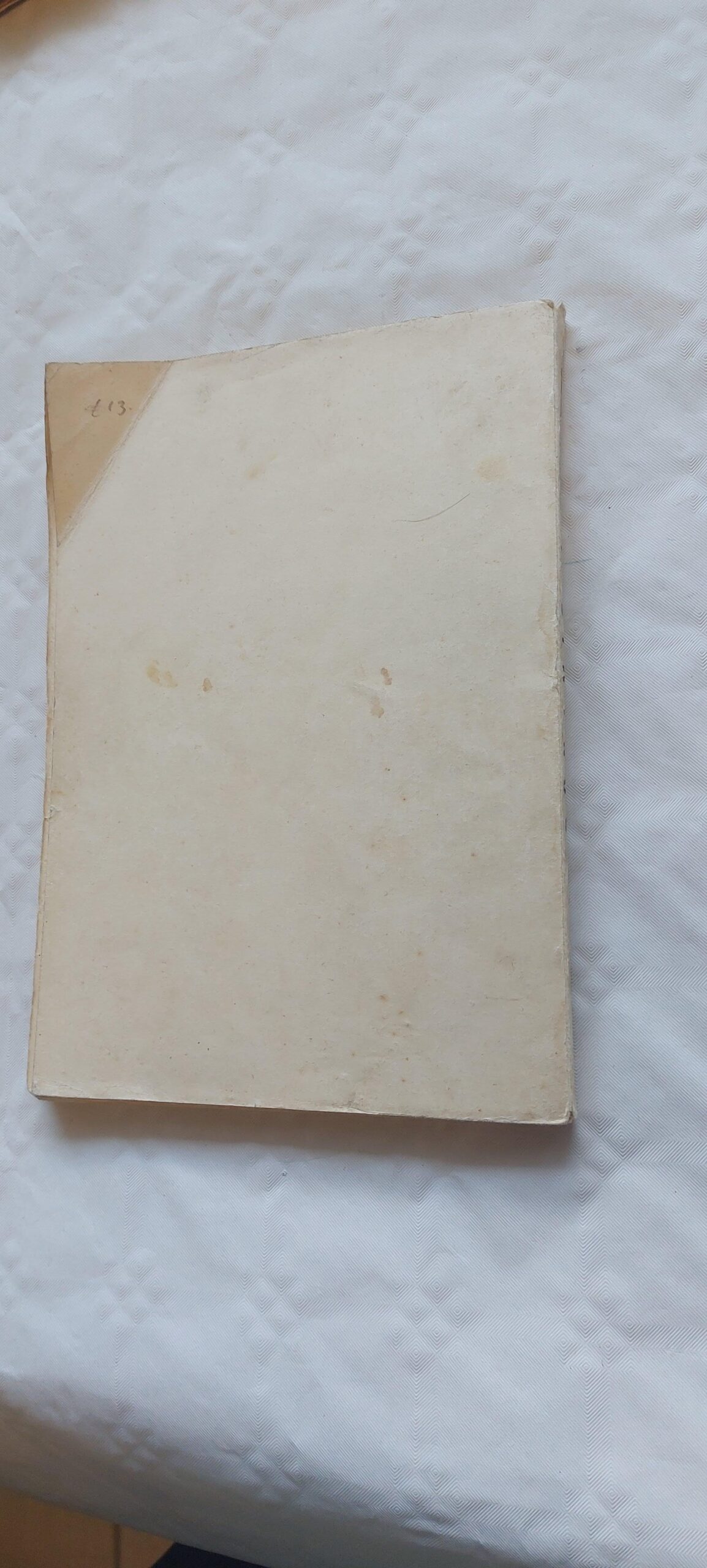 Dünamis I. Mõtteid võitlevast vabariigist. 1928 - Image 4