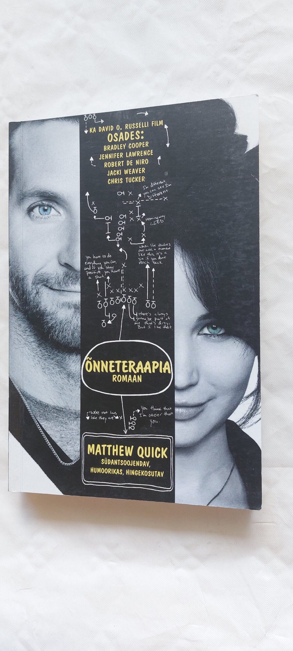 Õnneteraapia Matthew Quick. 2013