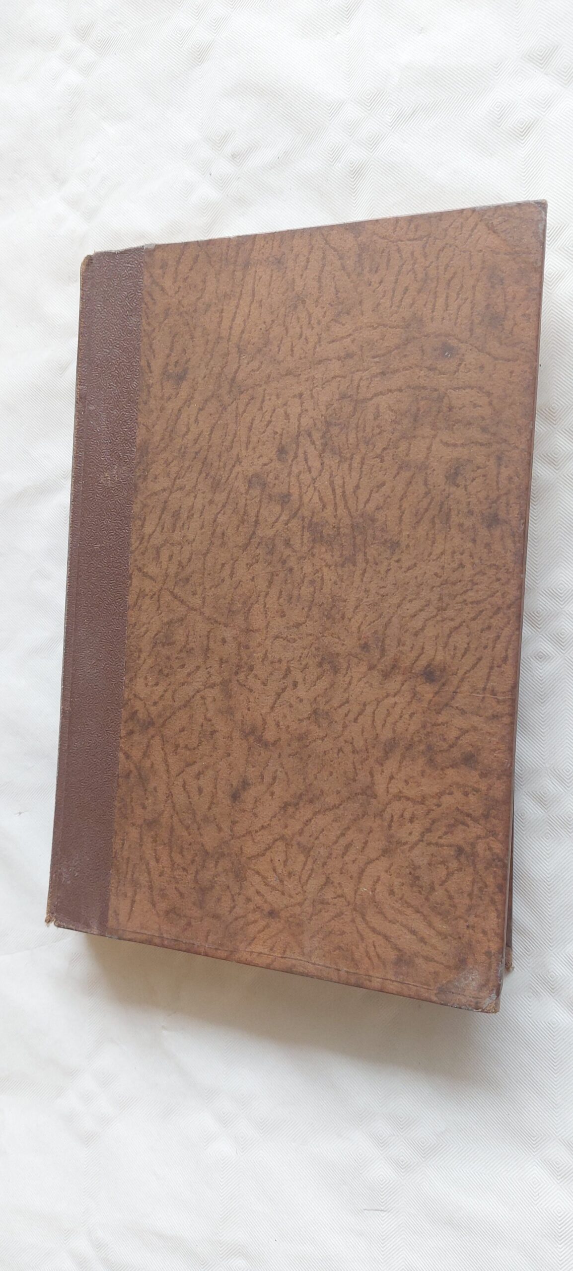 Elust pettunud. Pierre Loti. 1929 - Image 2