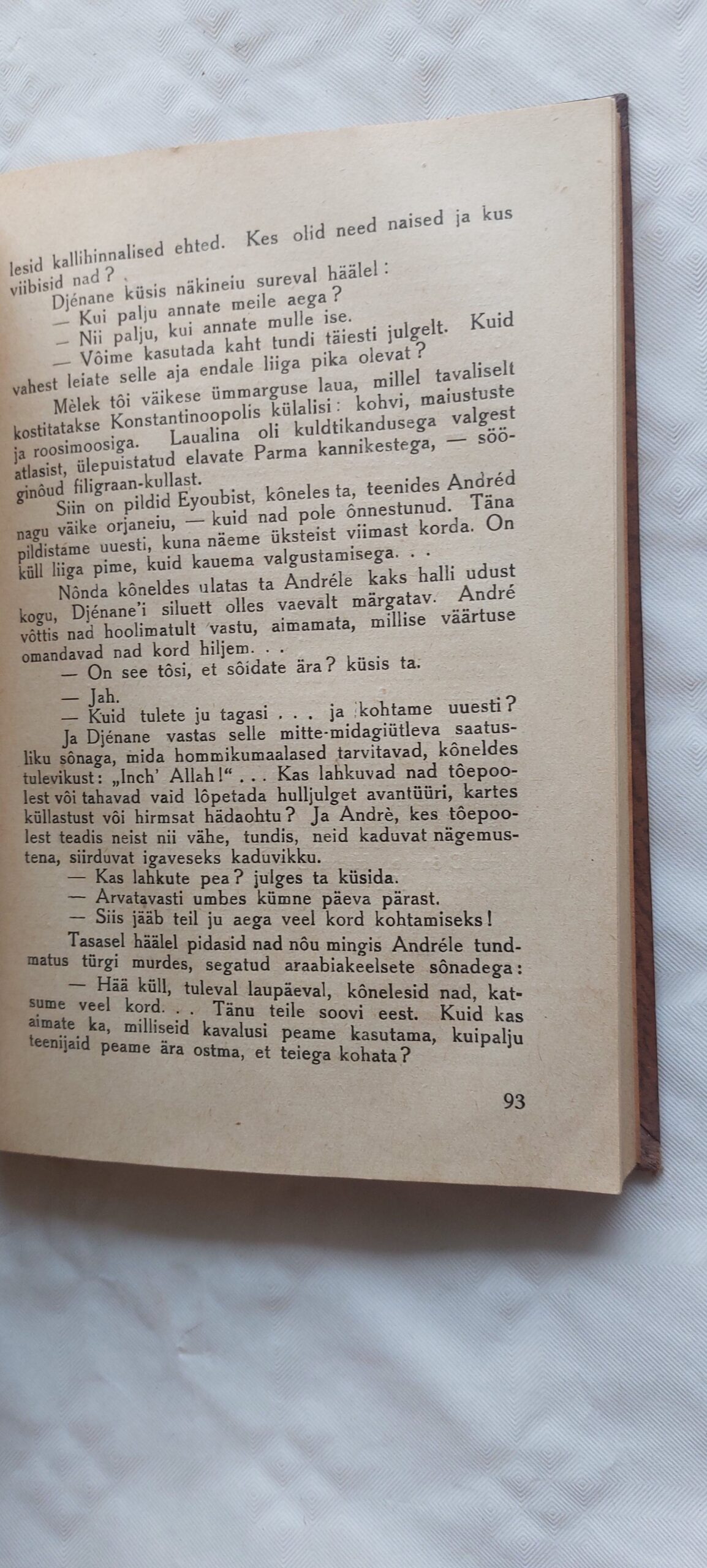 Elust pettunud. Pierre Loti. 1929 - Image 4