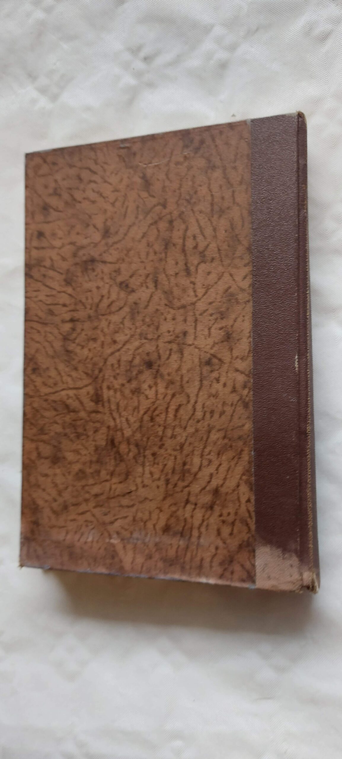 Elust pettunud. Pierre Loti. 1929 - Image 5