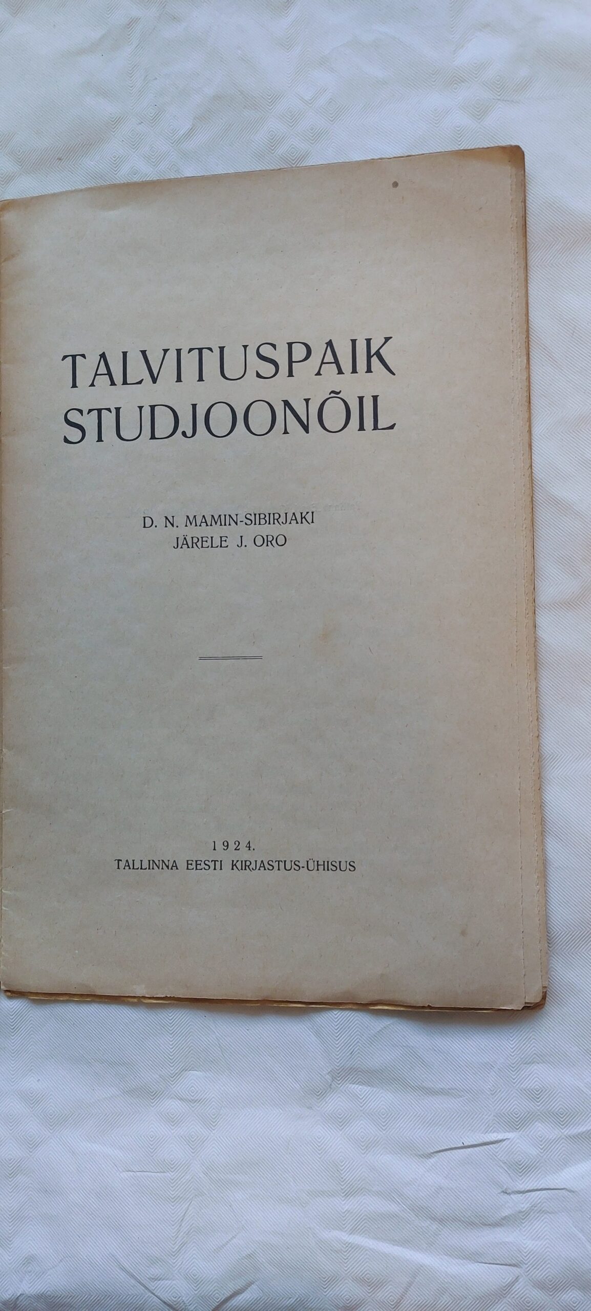 Talvituspaik studjoonõil. D. N. Manim-Sibirjaki. 1924 - Image 2