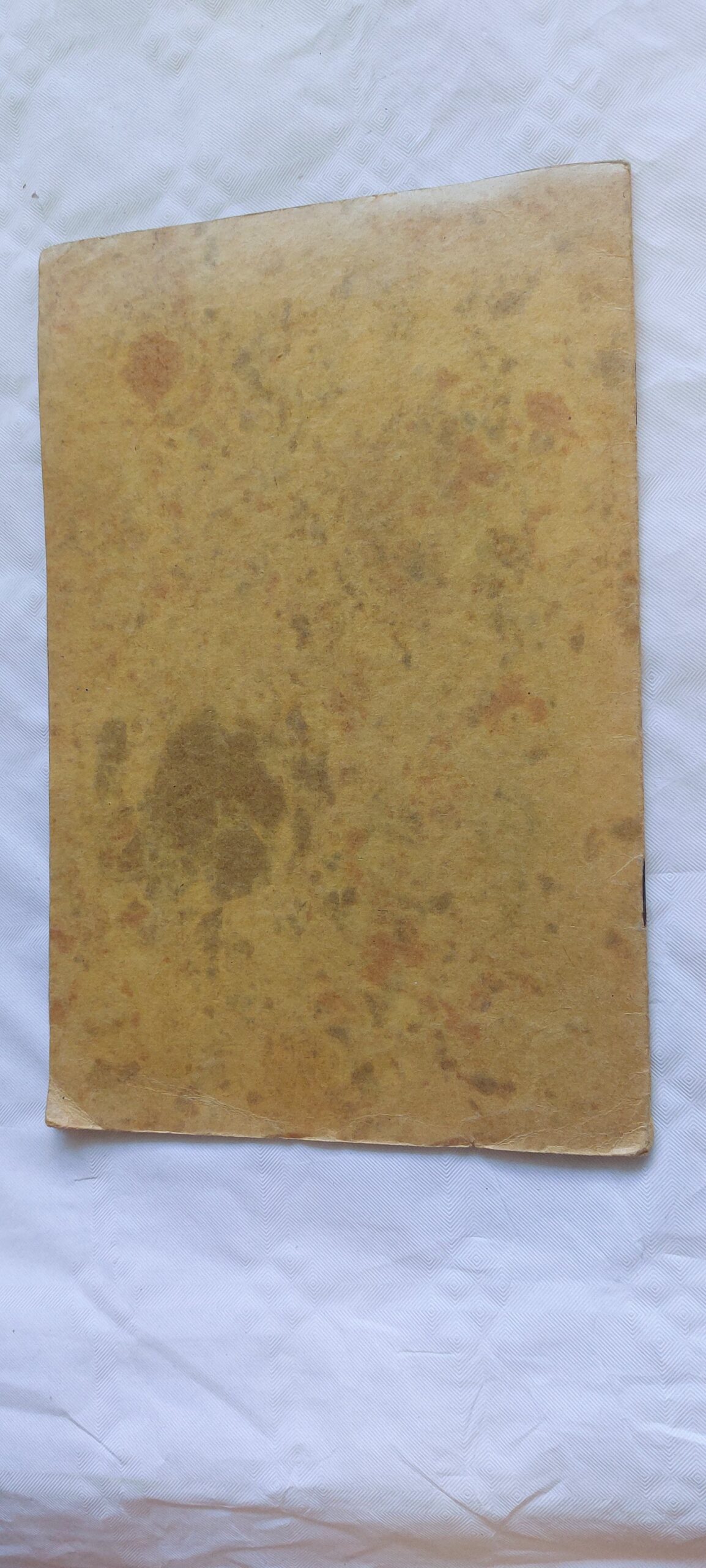 Talvituspaik studjoonõil. D. N. Manim-Sibirjaki. 1924 - Image 4