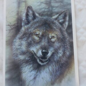 NSVL aegne postkaart. A. Isakov. 1989