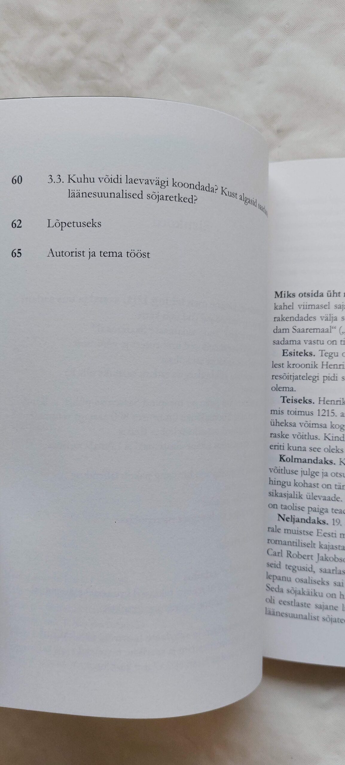 Merelahing viikingiaegses suursadamas. Jaan Laas. 2016 - Image 4