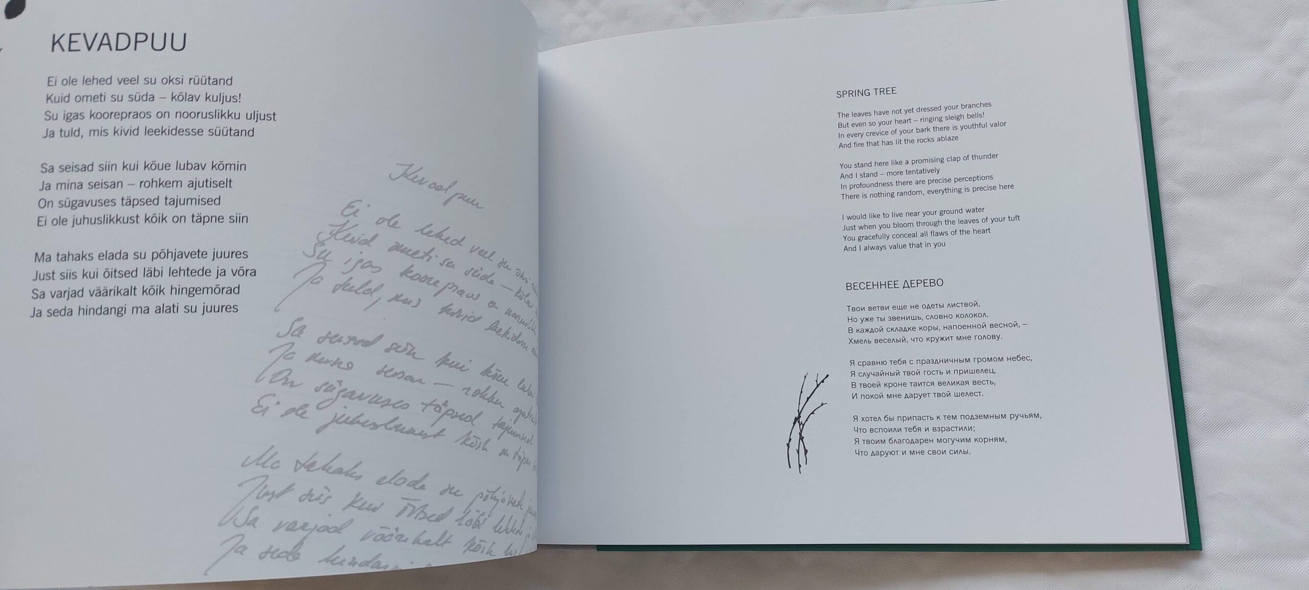 Eesti metsa lugu. The Story of the Estonian Forest. 2011 - Image 3