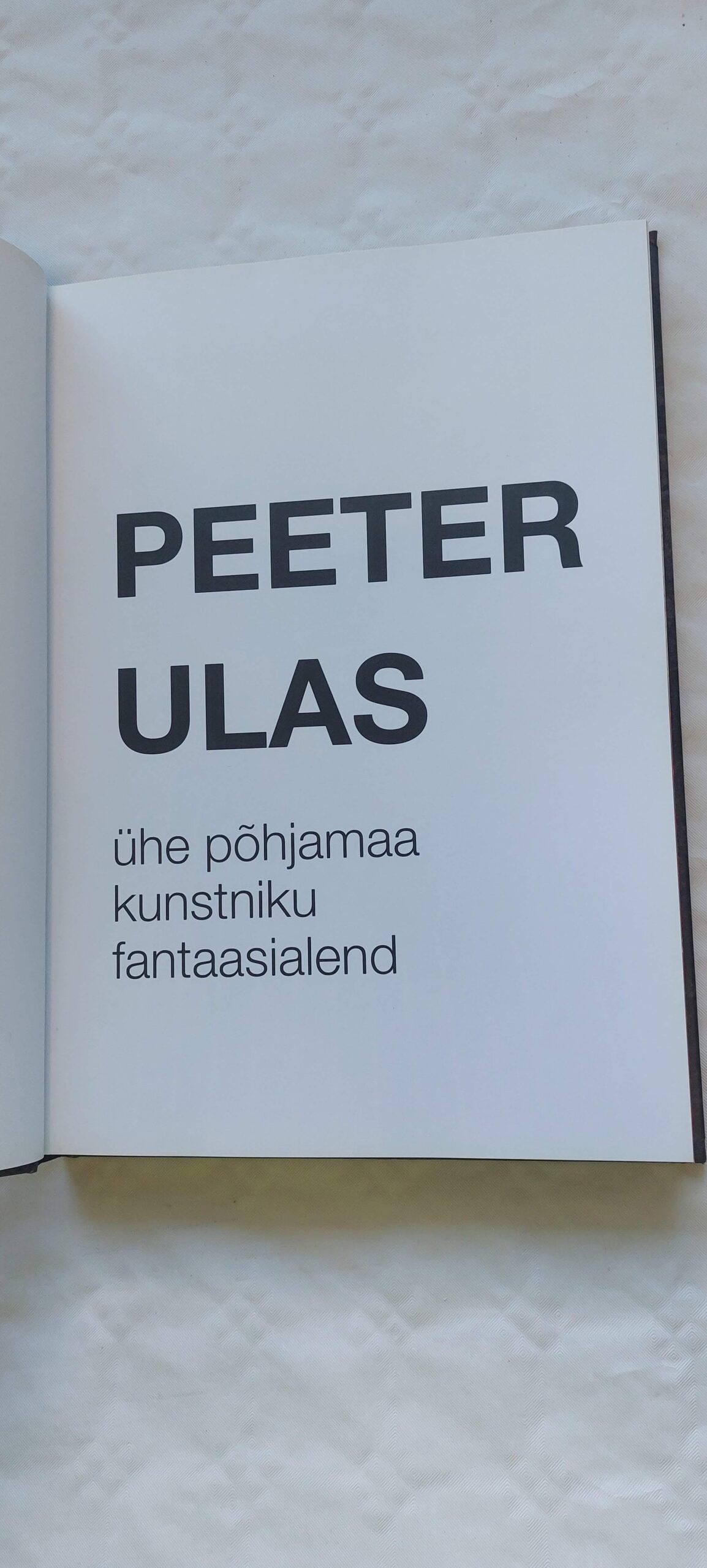Peeter Ullas. Ühe põhjamaa kunstiku fantaasialend. 2015 - Image 2