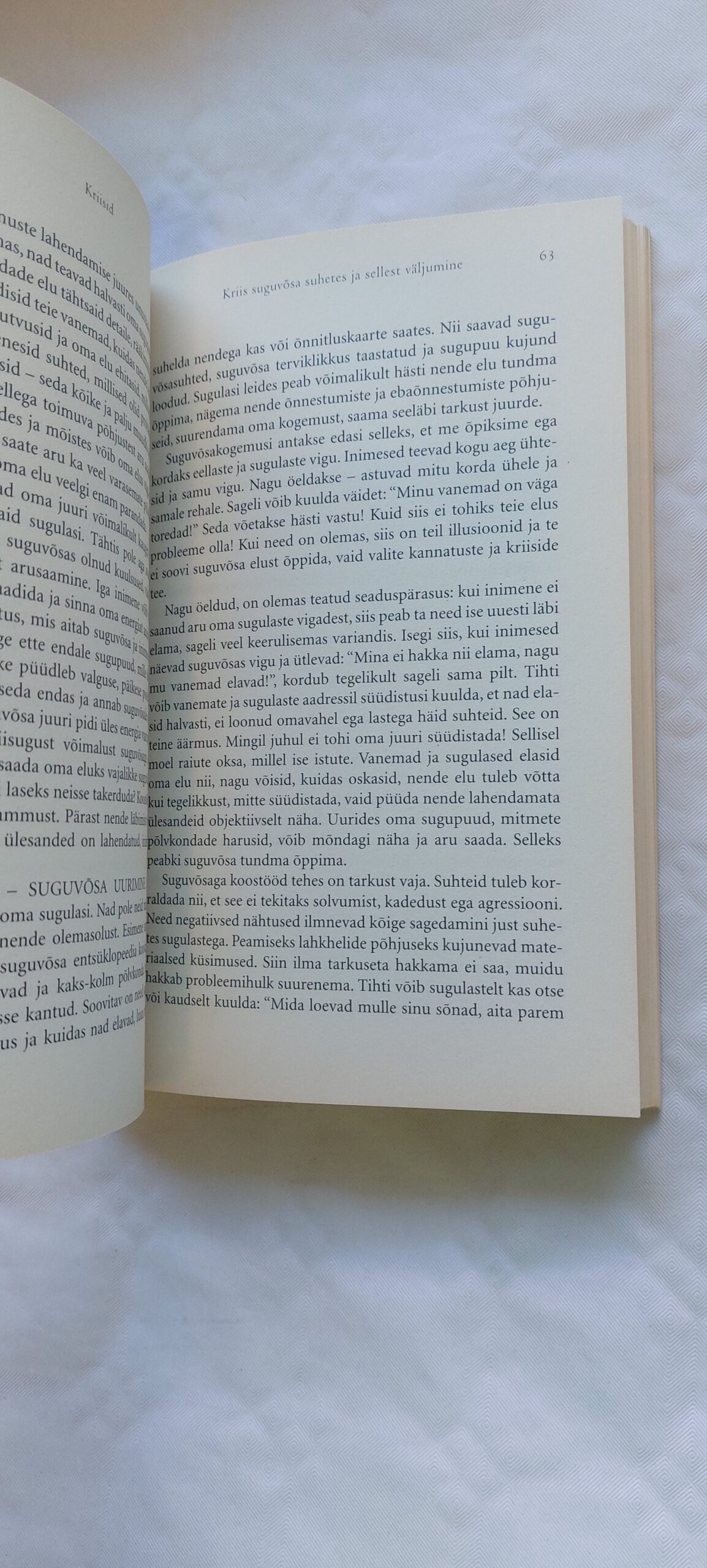 Kriisid. Anatoli Nekrassov. 2009 - Image 4