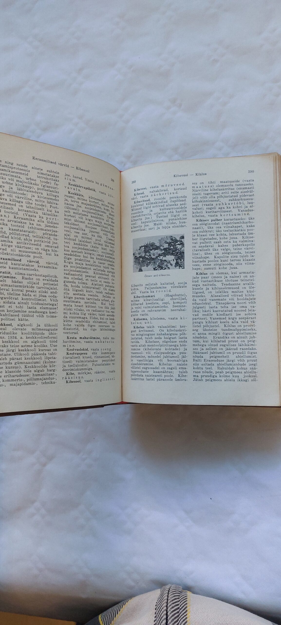 Perekonna leksikon. 1936 - Image 4