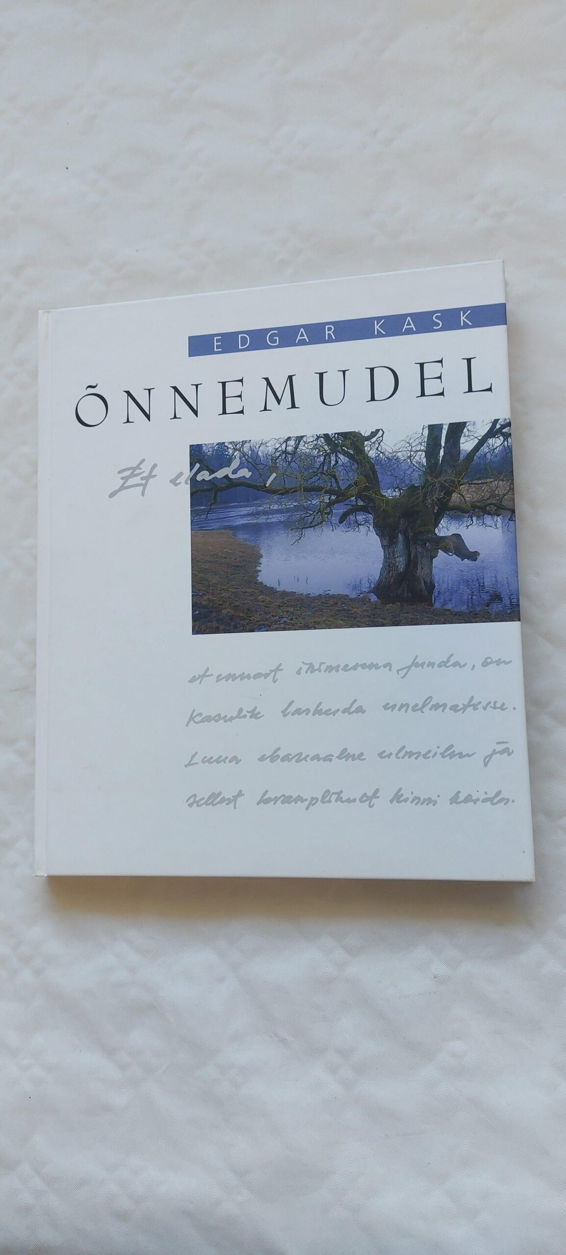 Õnnemudel. Edgar Kask. 2004