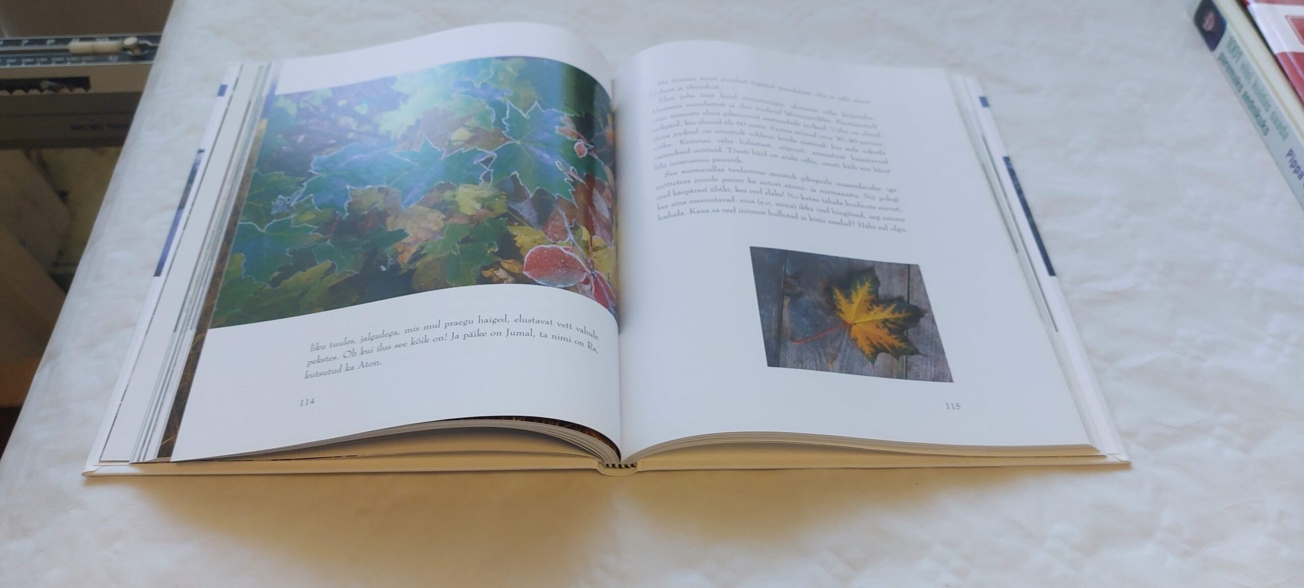 Õnnemudel. Edgar Kask. 2004 - Image 4