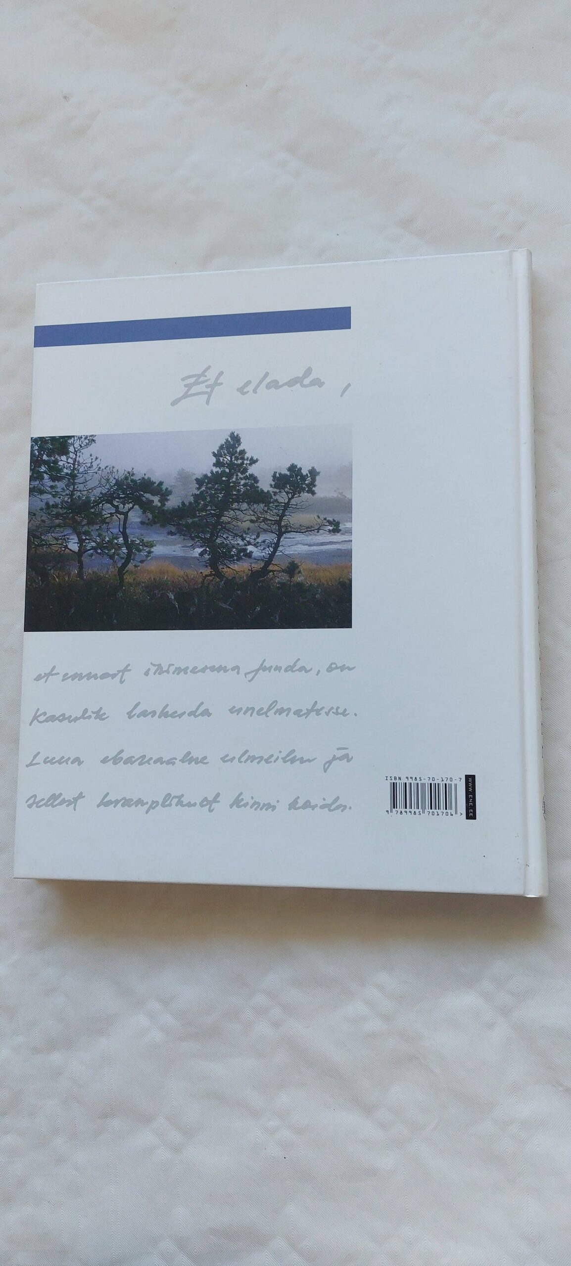 Õnnemudel. Edgar Kask. 2004 - Image 5