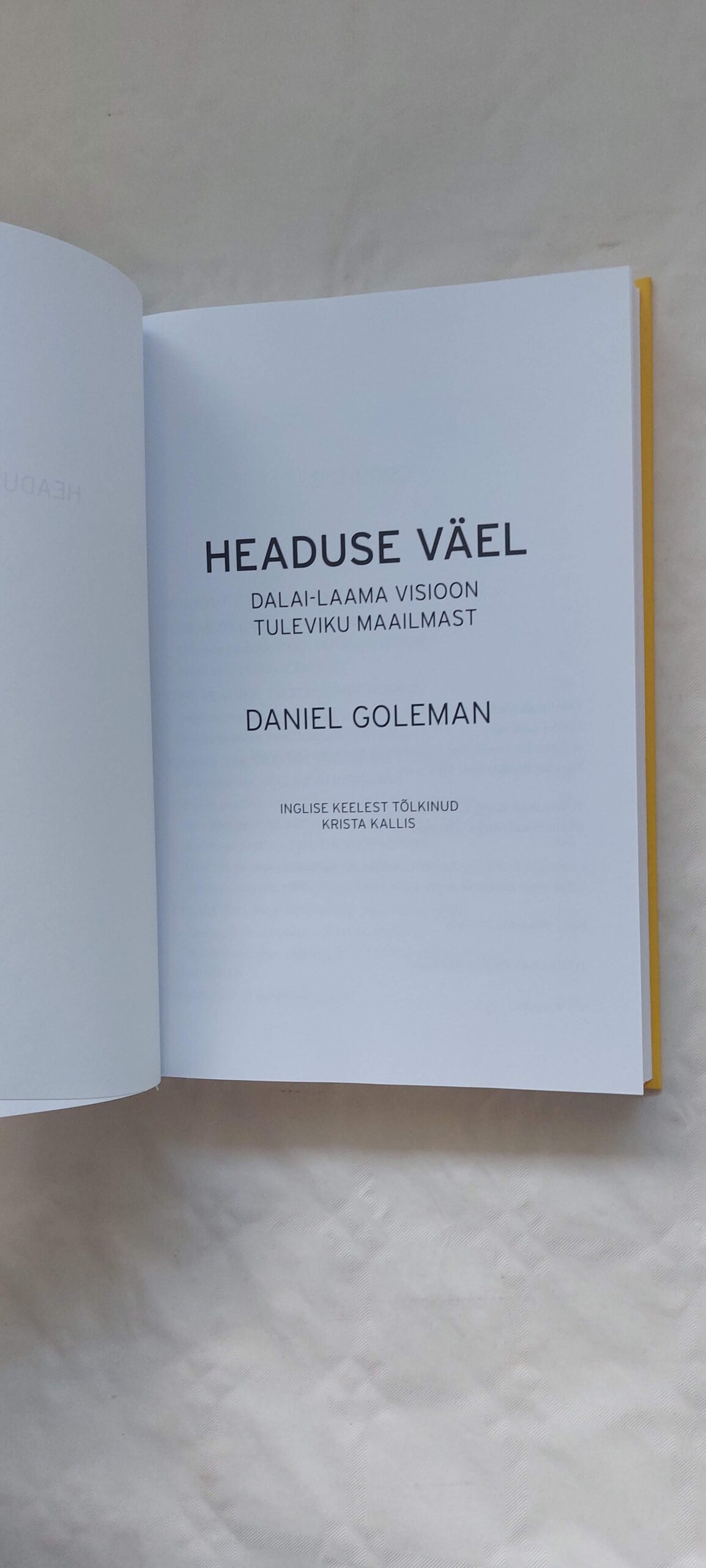 Headuse väel. Daniel Goleman. 2015 - Image 2