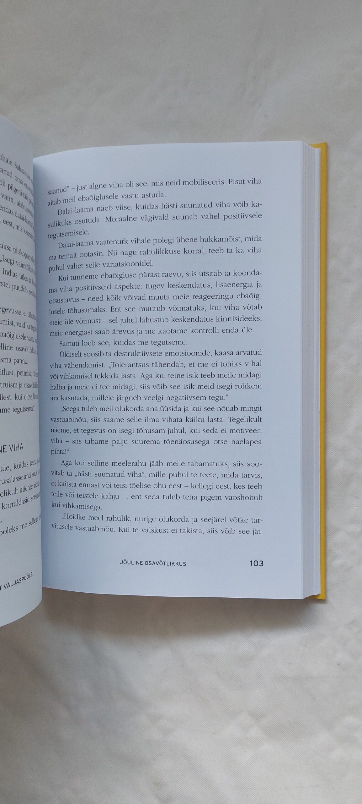 Headuse väel. Daniel Goleman. 2015 - Image 4