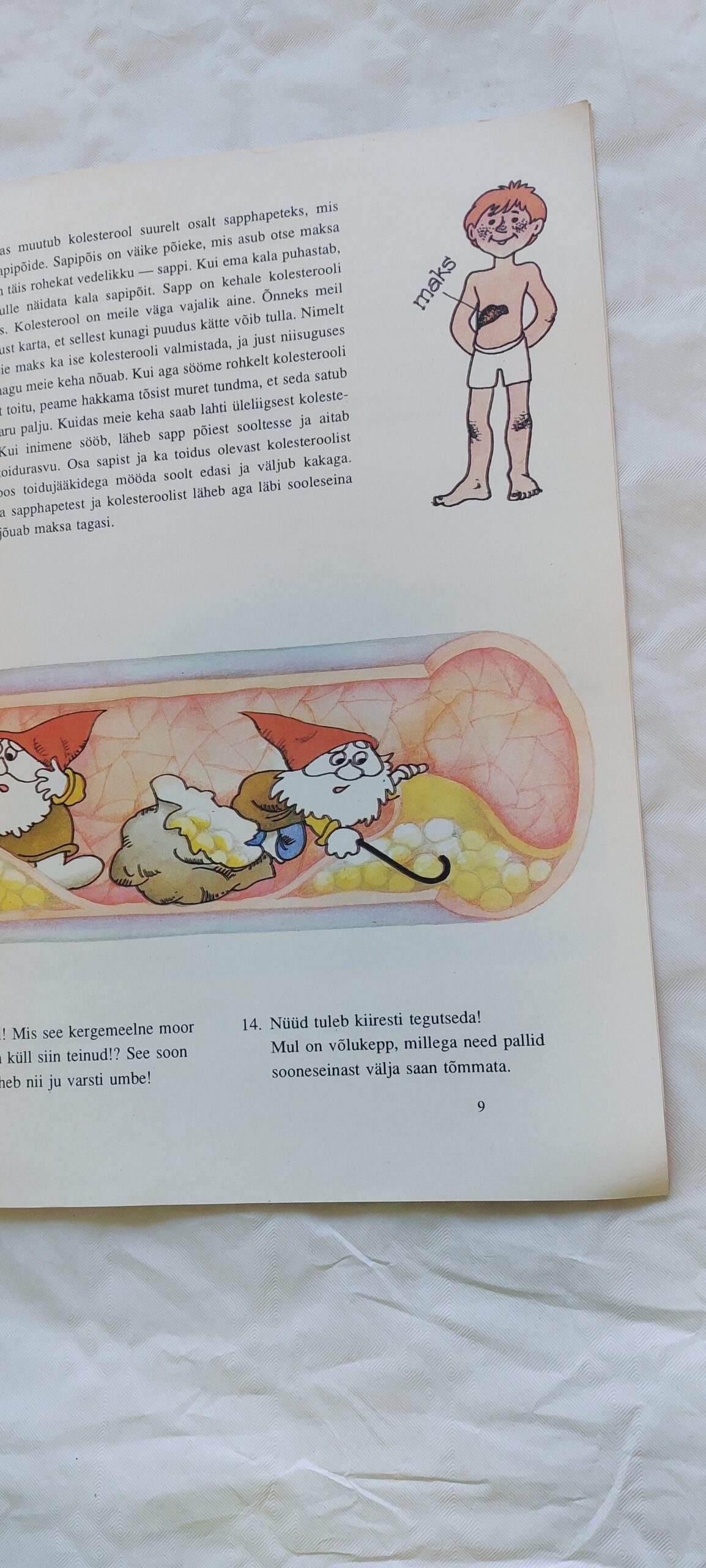 Sinu päkapikk. Katrin Aasvee. 1995 - Image 2