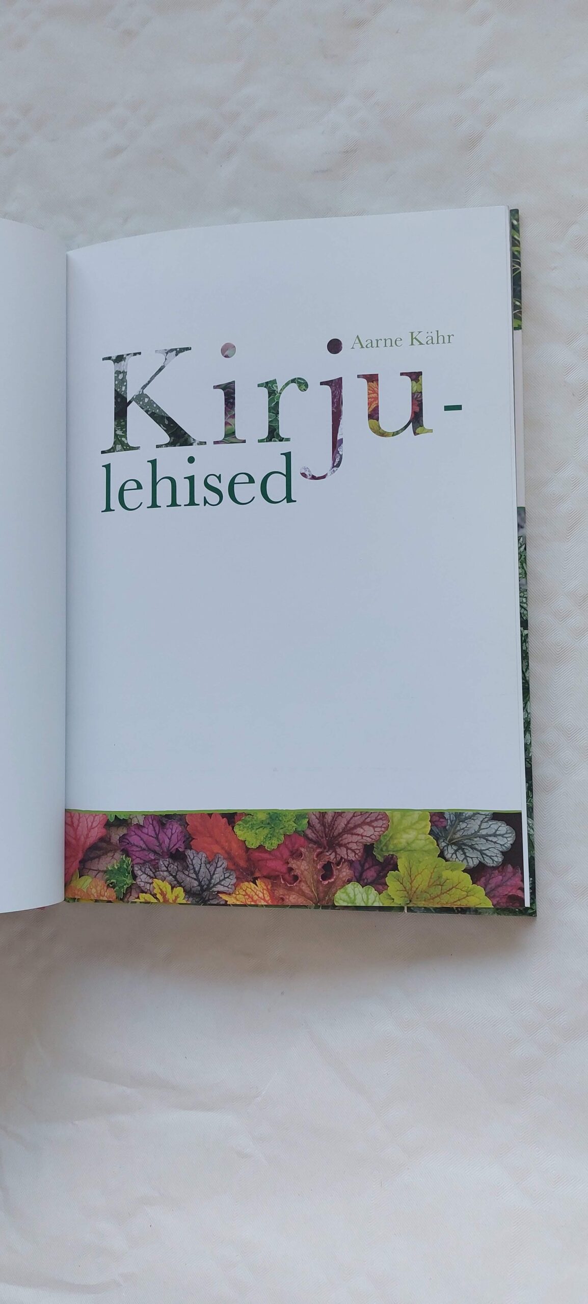 Kirjulehised püsililled ja kõrrelised. Aarne Kähr. 2012 - Image 2