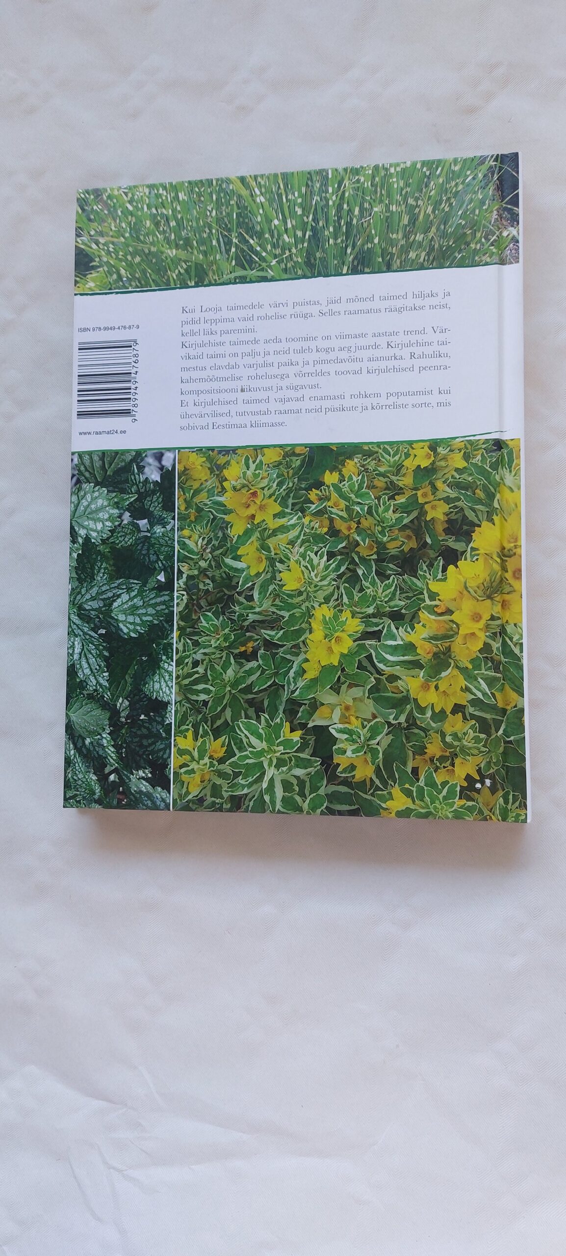 Kirjulehised püsililled ja kõrrelised. Aarne Kähr. 2012 - Image 5