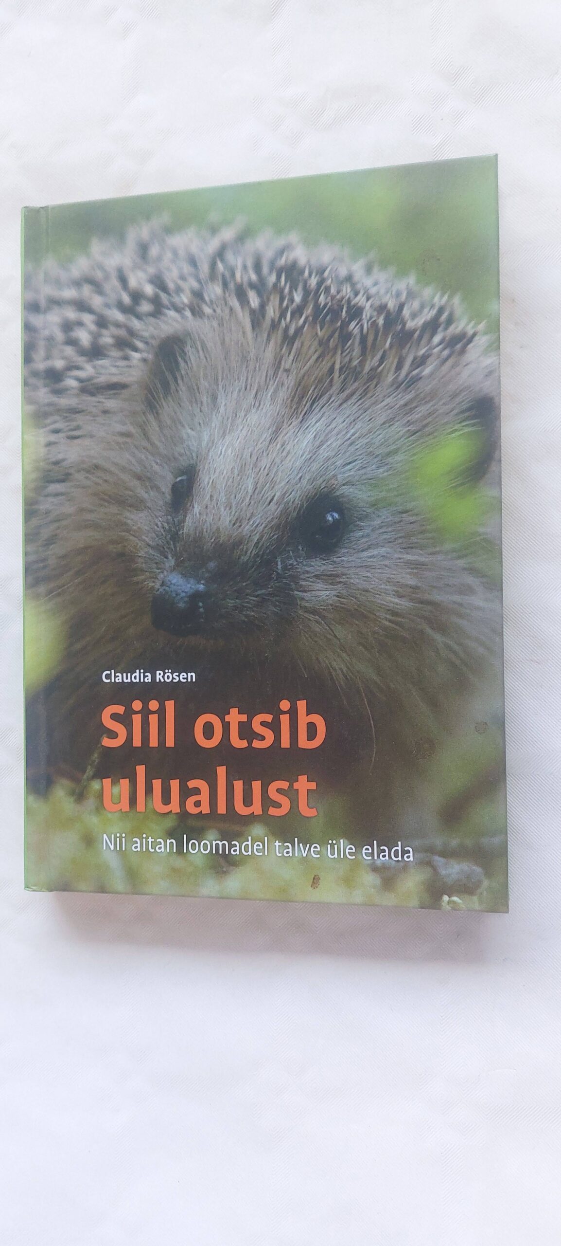 Siil otsib ulualust. Claudia Rösen.