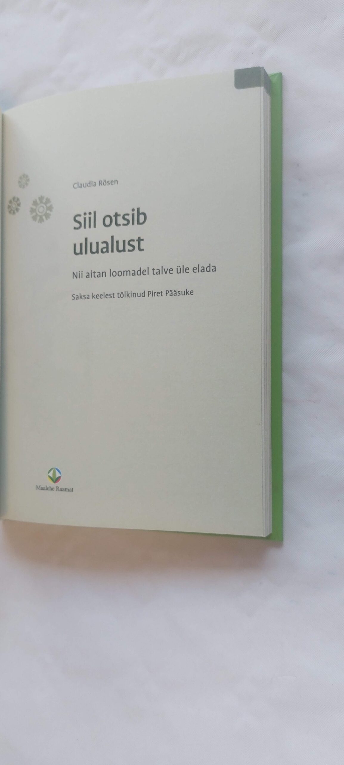 Siil otsib ulualust. Claudia Rösen. - Image 2