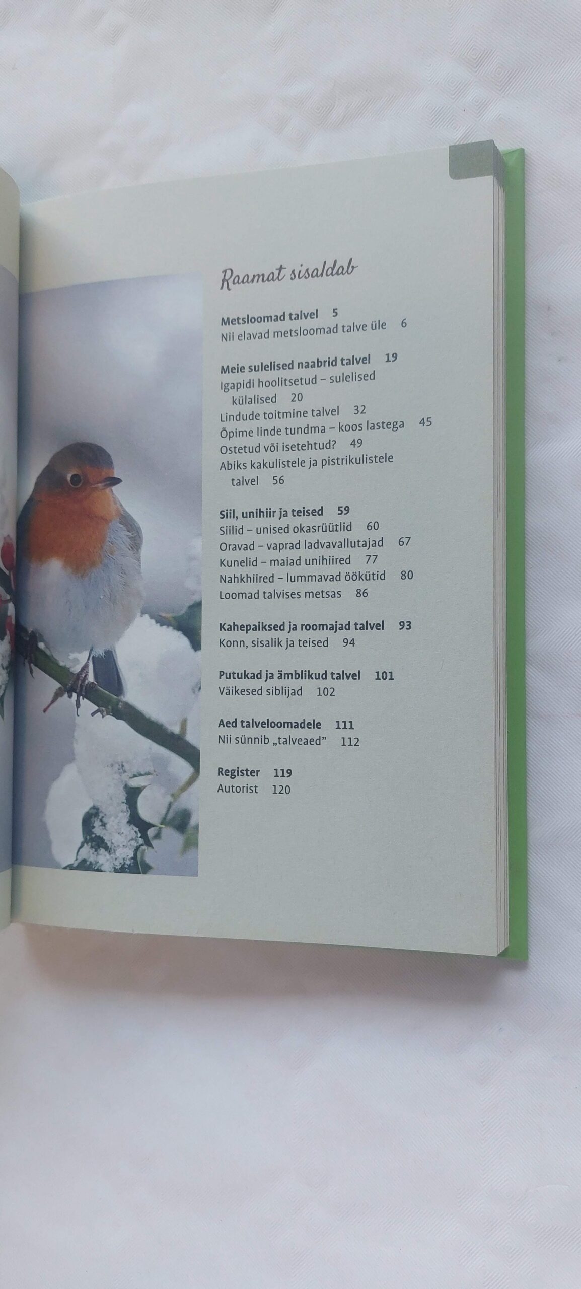 Siil otsib ulualust. Claudia Rösen. - Image 3