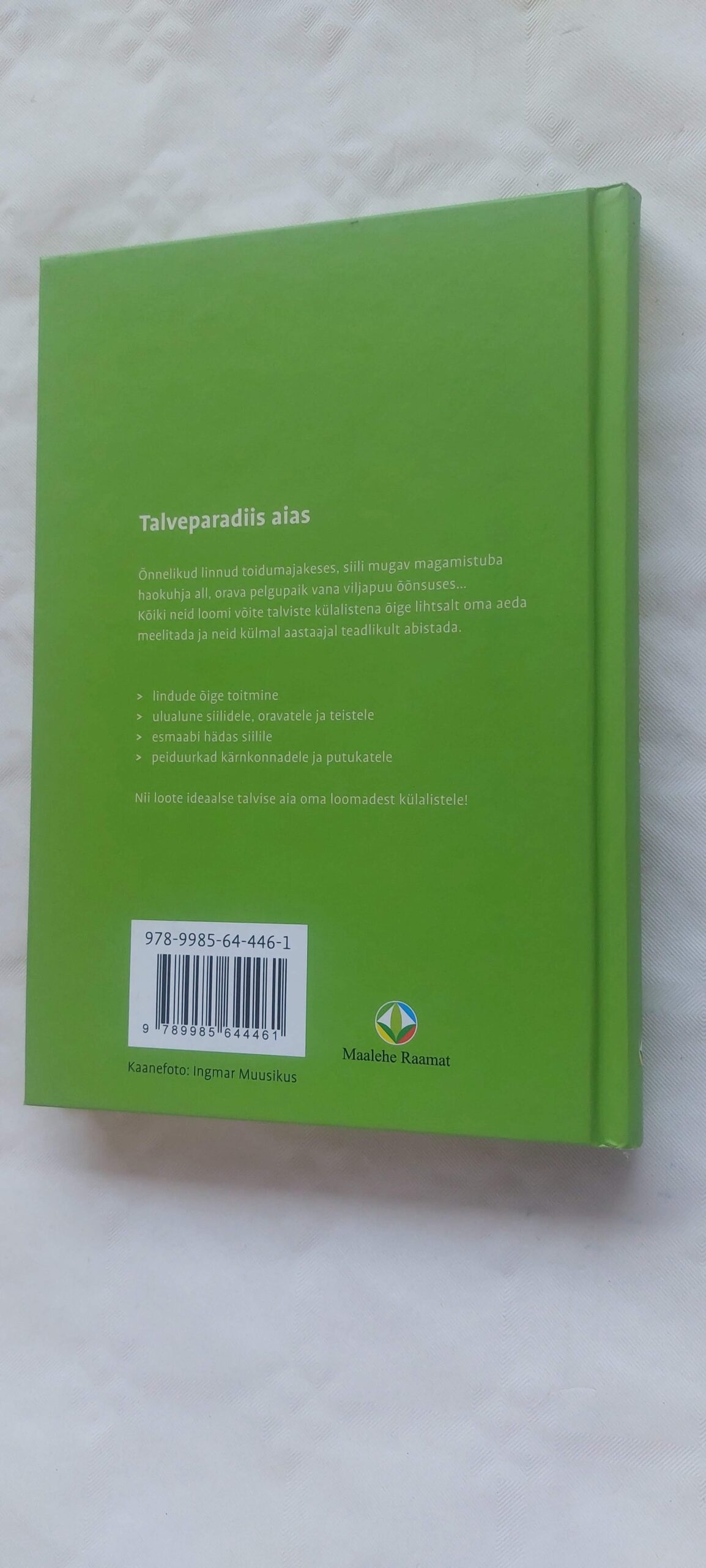 Siil otsib ulualust. Claudia Rösen. - Image 4