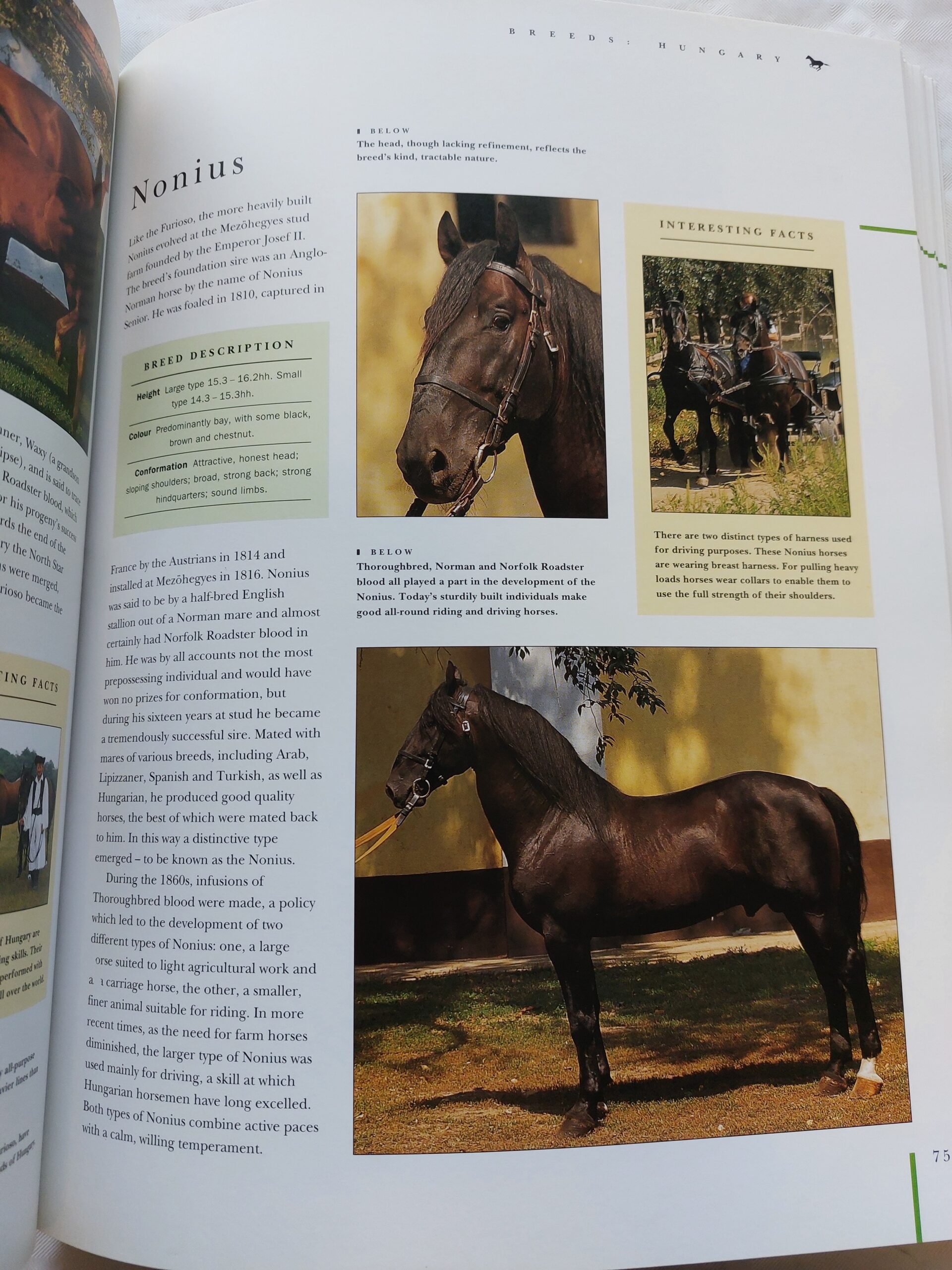 Horse breeds of the world. The complete reference to horse and pony breeds. Judith Draper. 1999 - Image 4