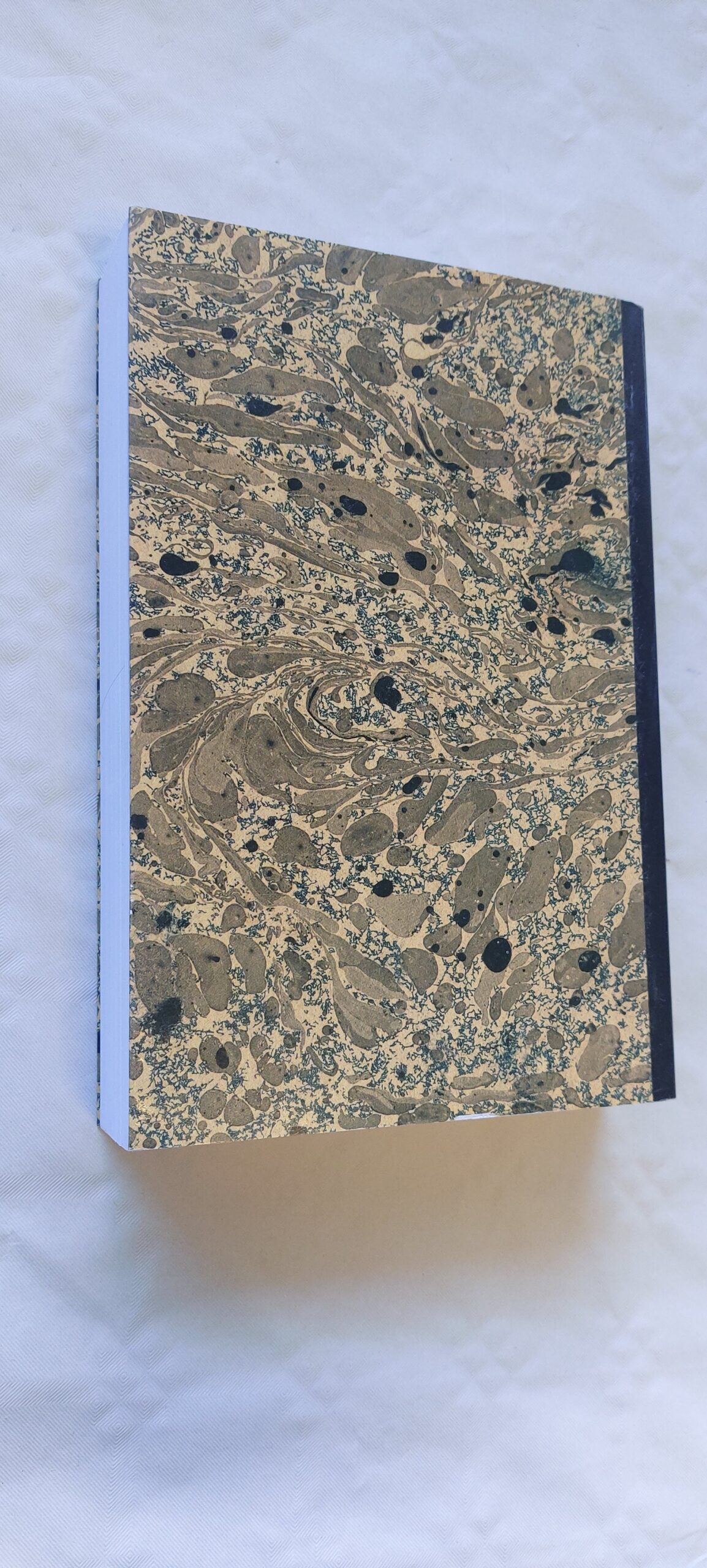 Moraalikirjad Luciliusele. Lucius Annaeus Seneca. 2008 - Image 8