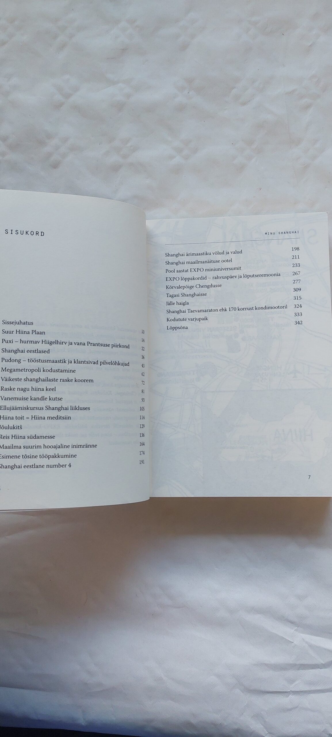 Minu Shanghai. Anneli Vilu. 2014 - Image 3