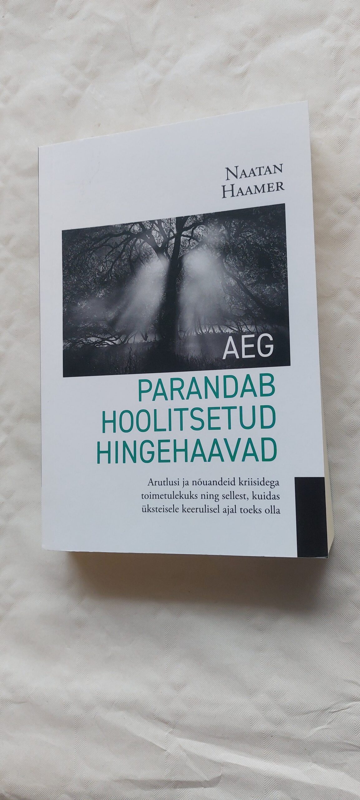 Aeg parandab hoolitsetud hingehaavad. Naatan Haamer. 2021