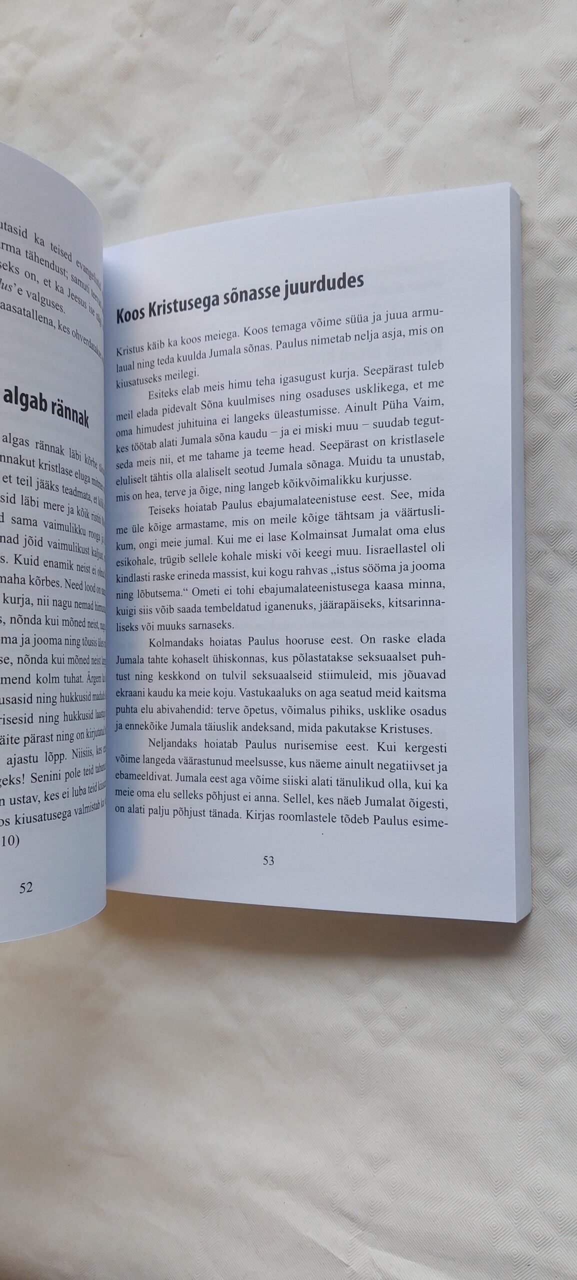 Piibli punane niit. Leif Nummela. 2016 - Image 4