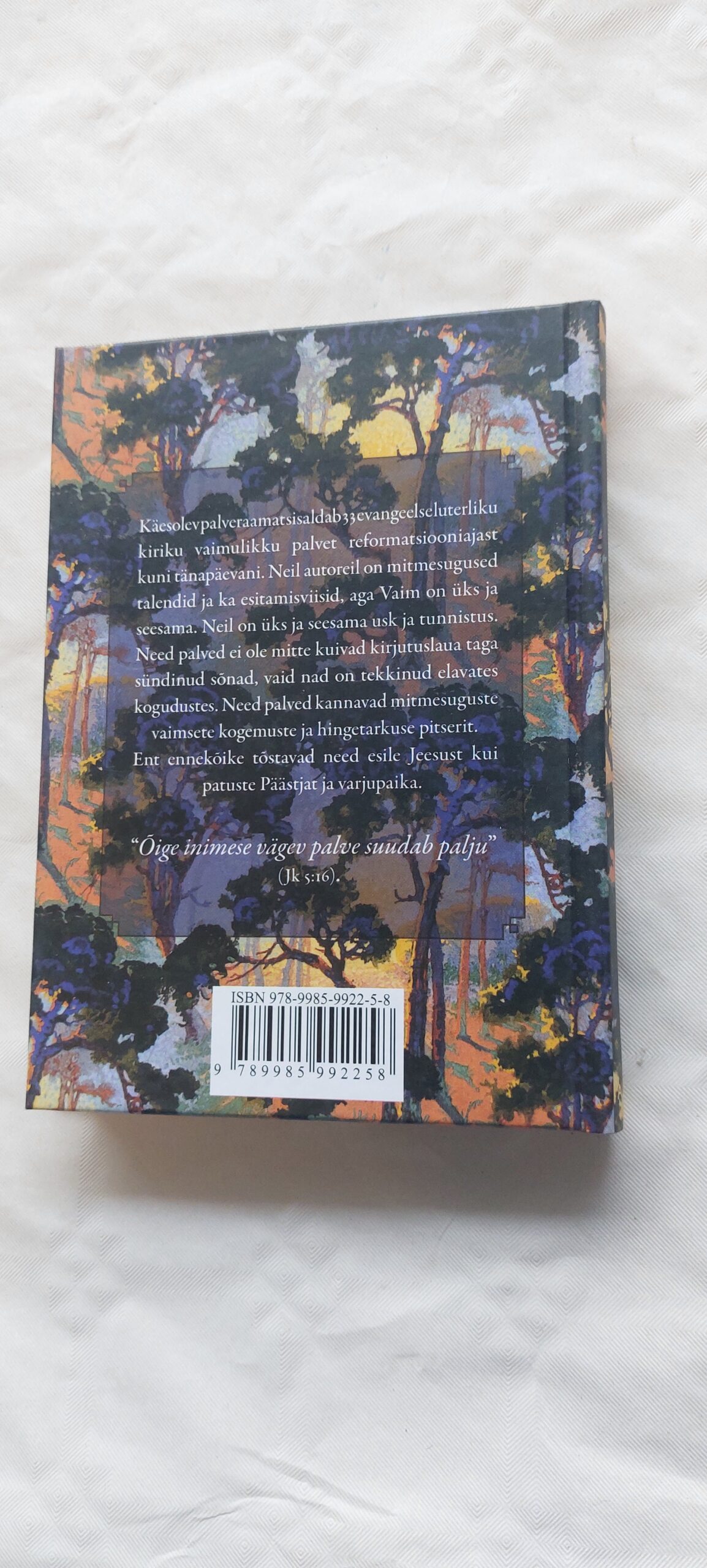 Igapäevane palve. 2008 - Image 6