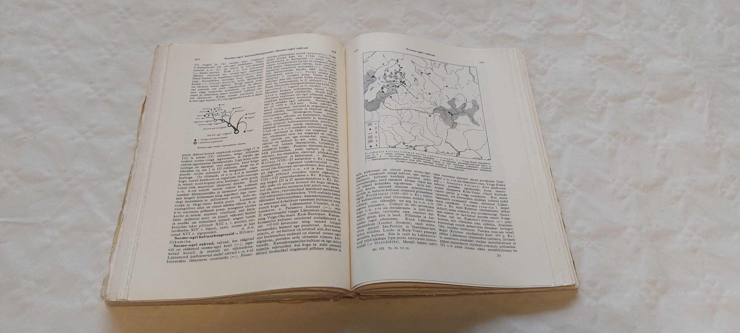 Eesti entsüklopeedia VII. osa. Rankk-Tanukad. 1936 - Image 4