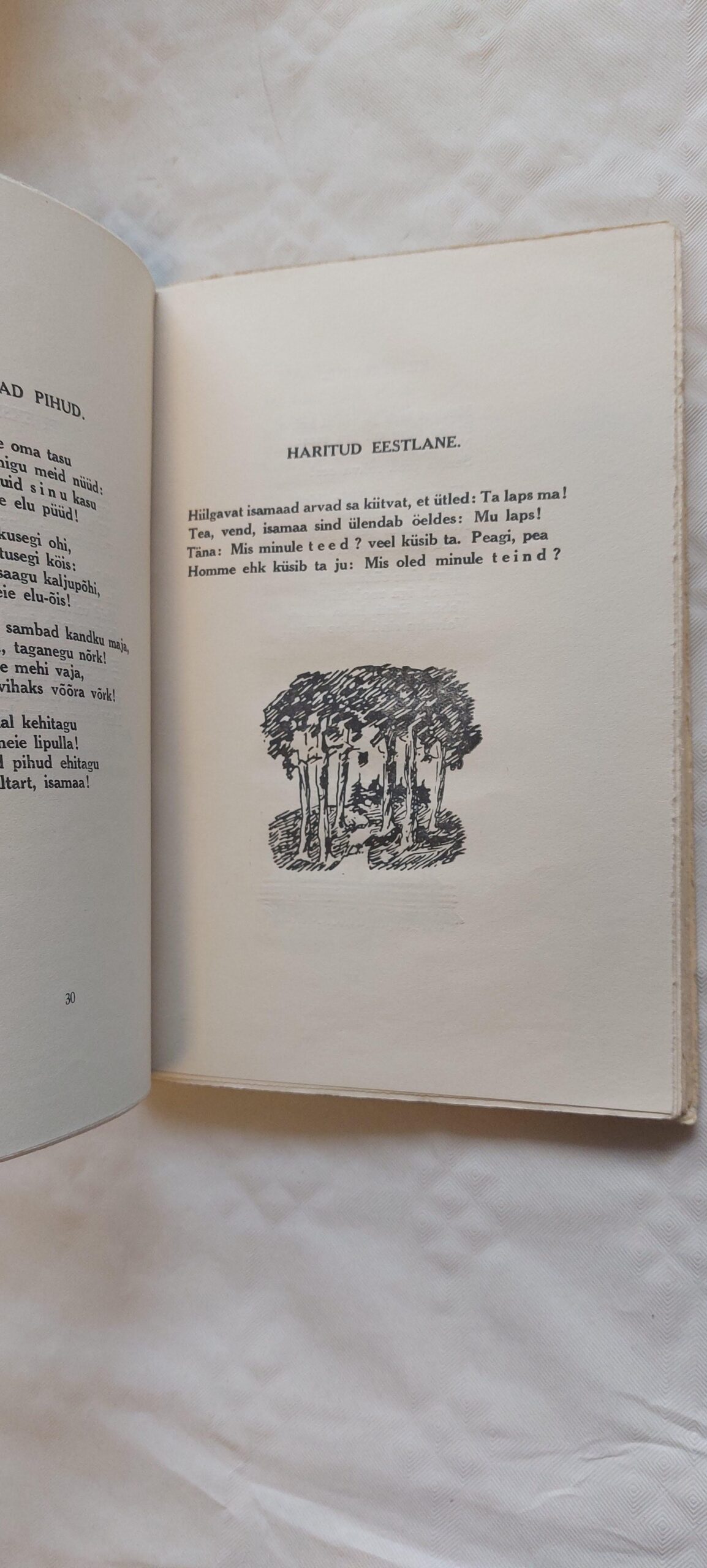 Lydia Koidula valitud laulud. 1934 - Image 3