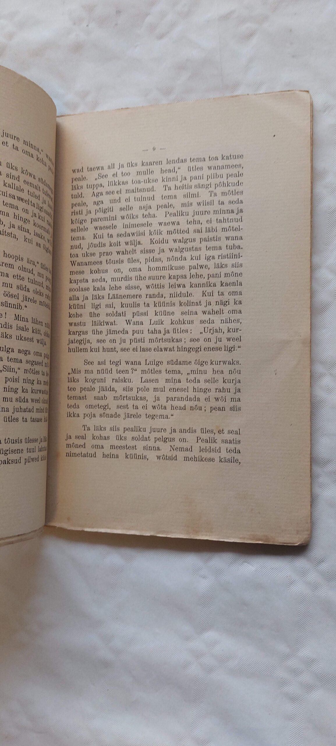 Luige Laos. Suwe Jaani sõpradele. 1911 - Image 4