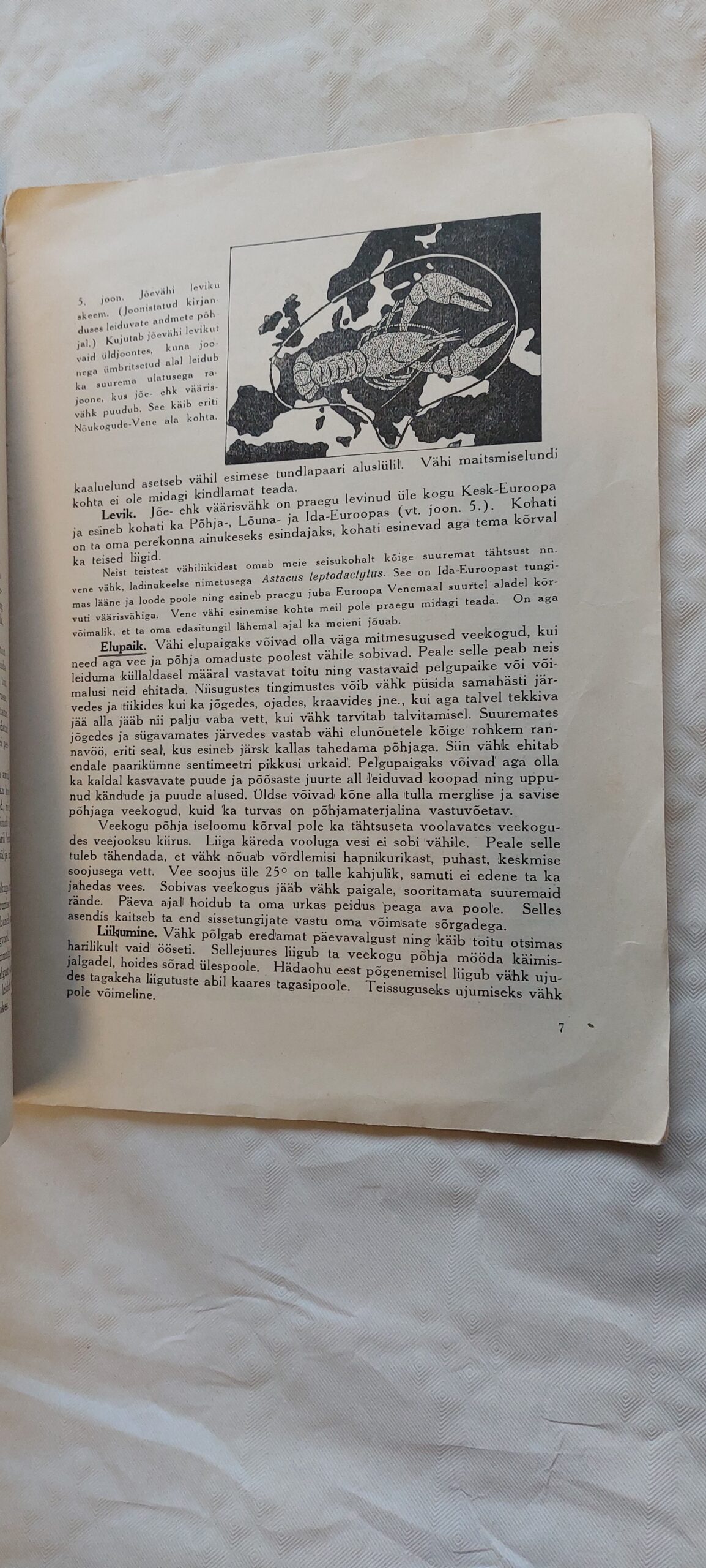 Jõe- ehk väärisvähist, tema kasvatamisest, püügist ja kasutamisest. Edv. Reinvaldt. 1937 - Image 3